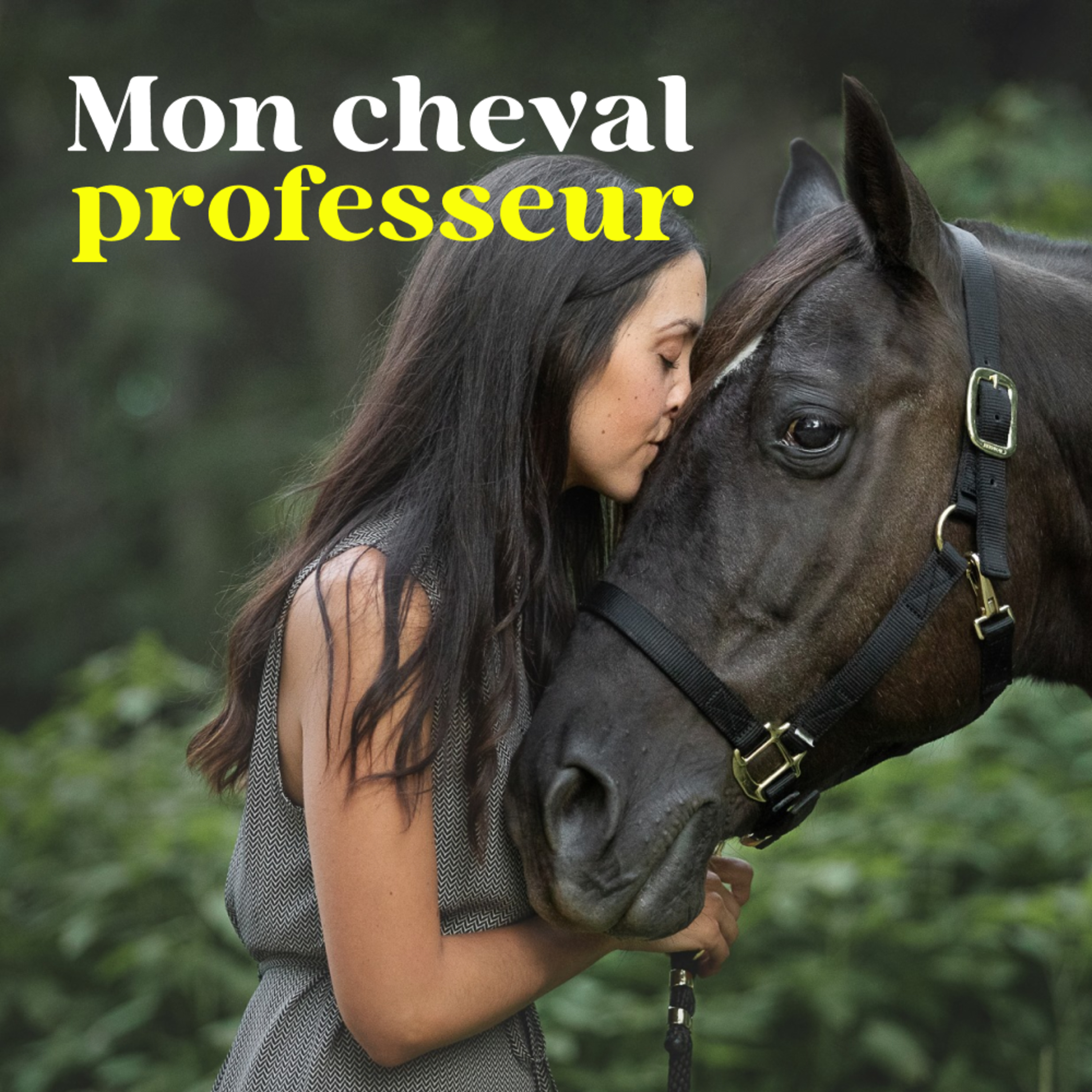 Mon Cheval Professeur