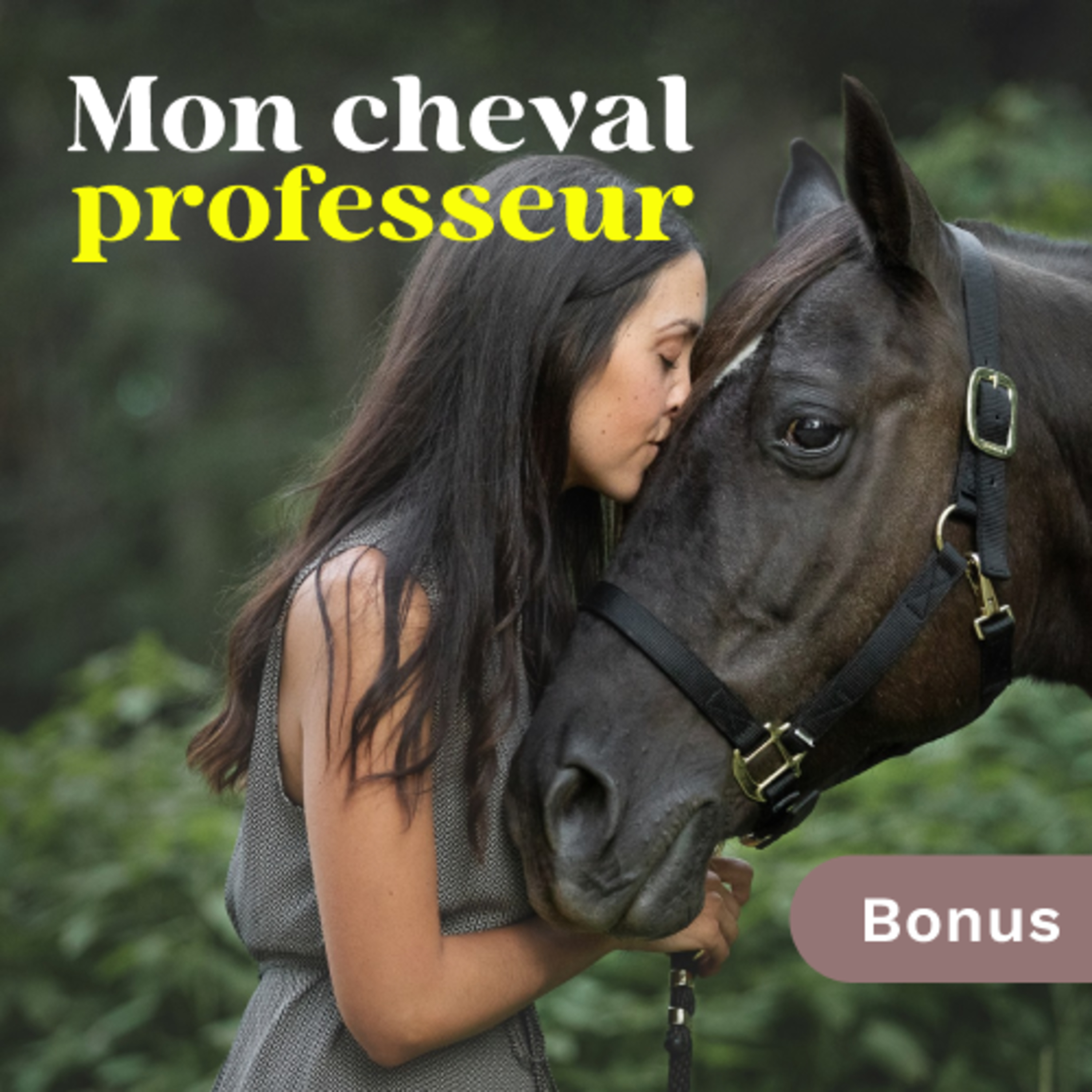Mon Cheval Professeur