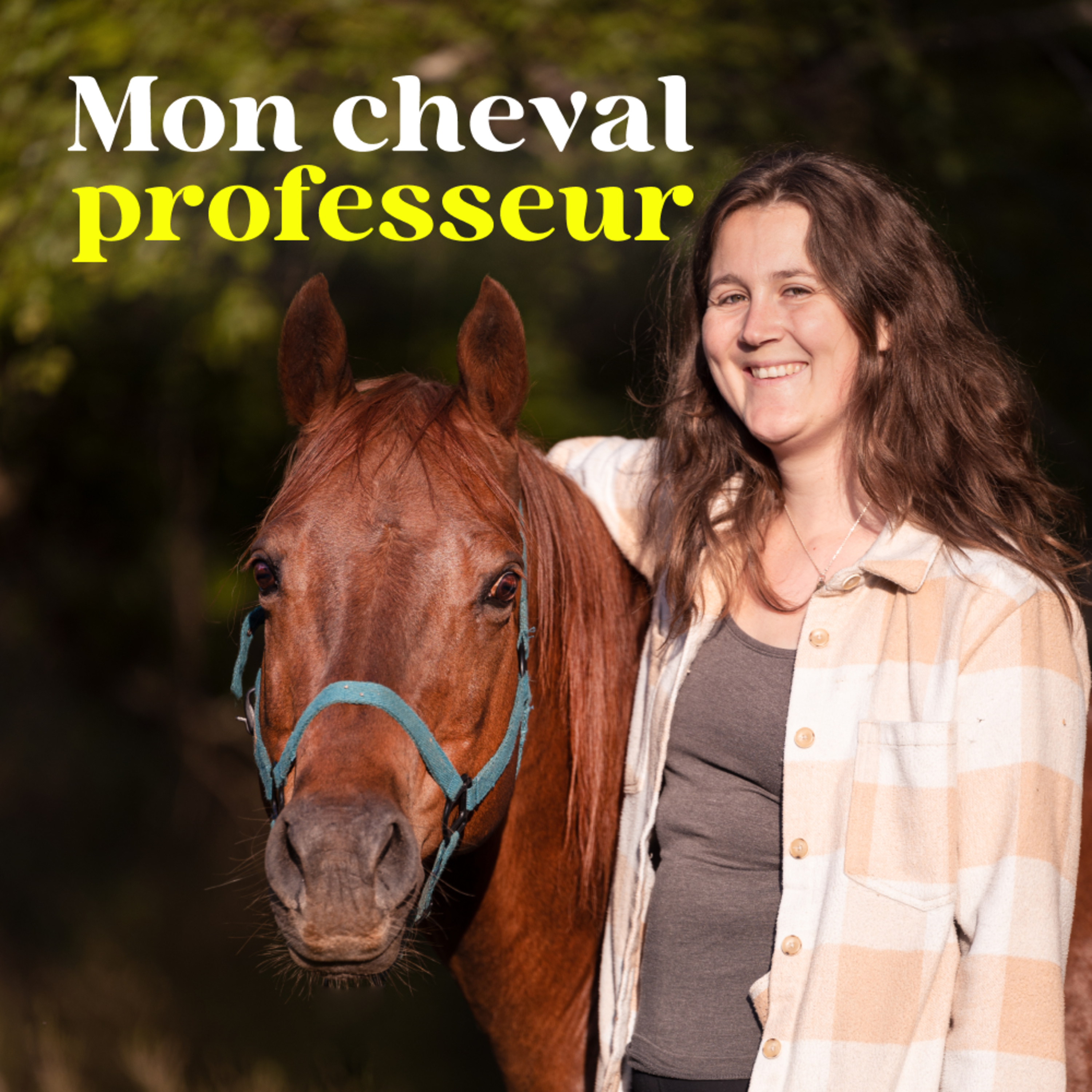 Mon Cheval Professeur