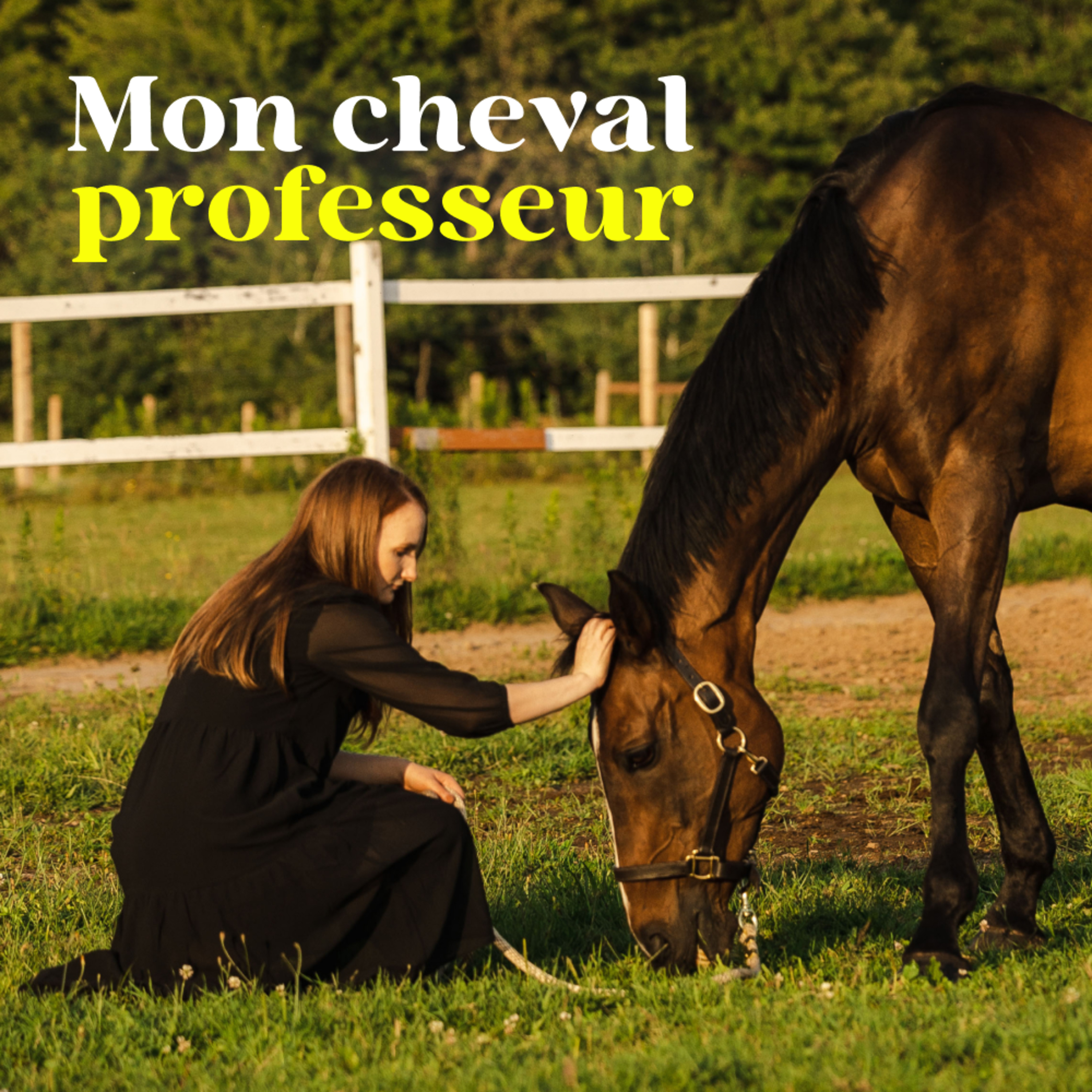 Mon Cheval Professeur