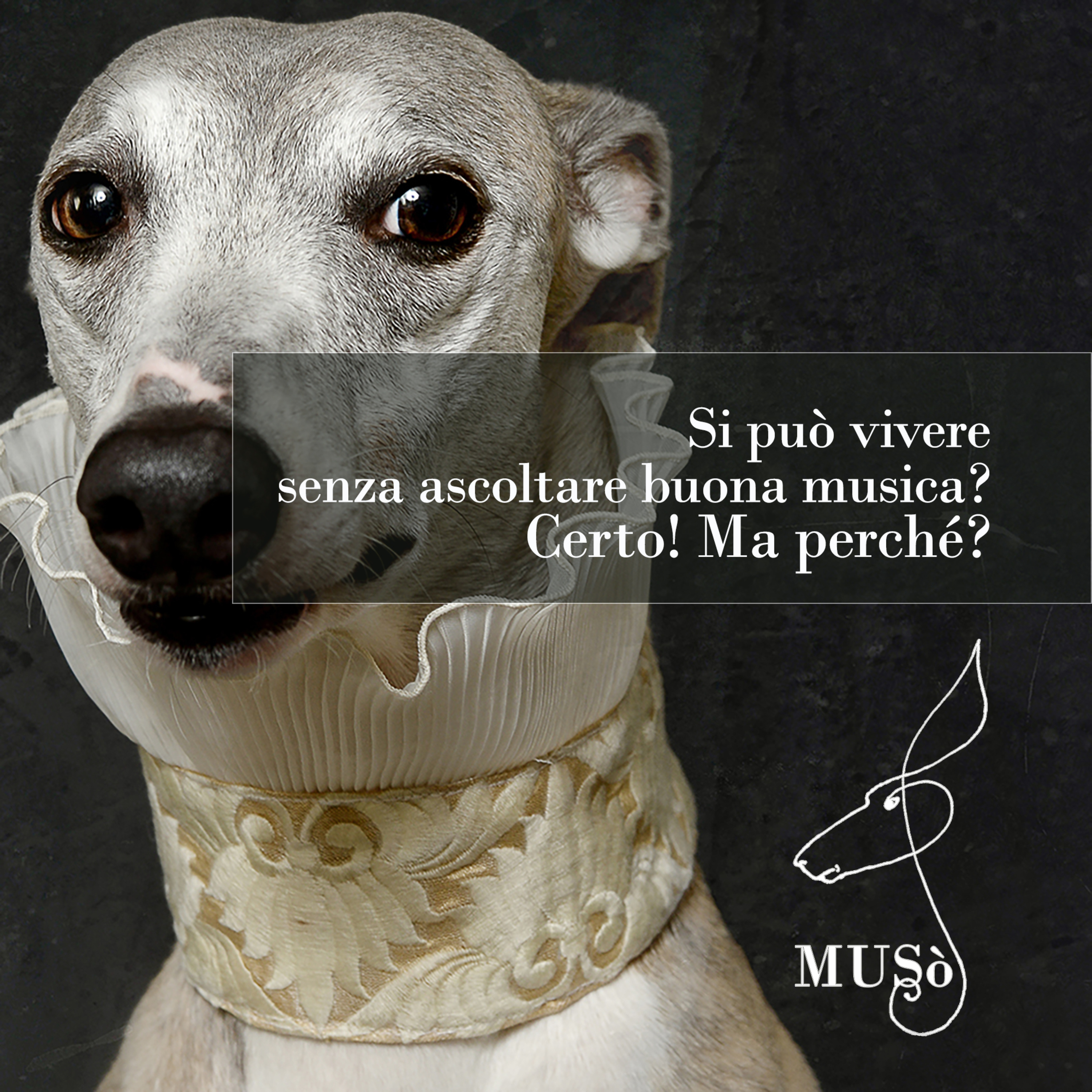 Si può vivere senza ascoltare buona musica? Certo! Ma perché? episode artwork