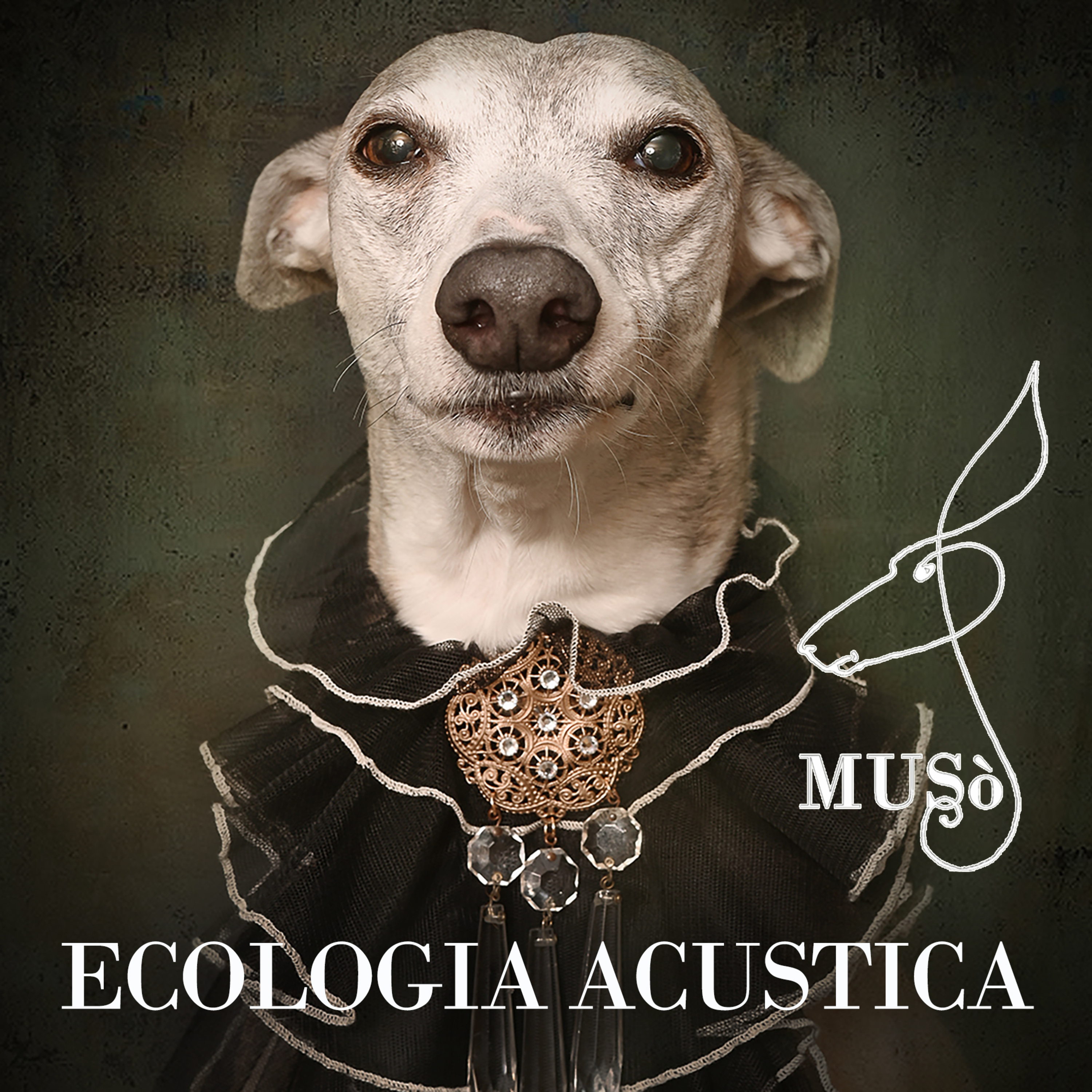 Muso_Podcast