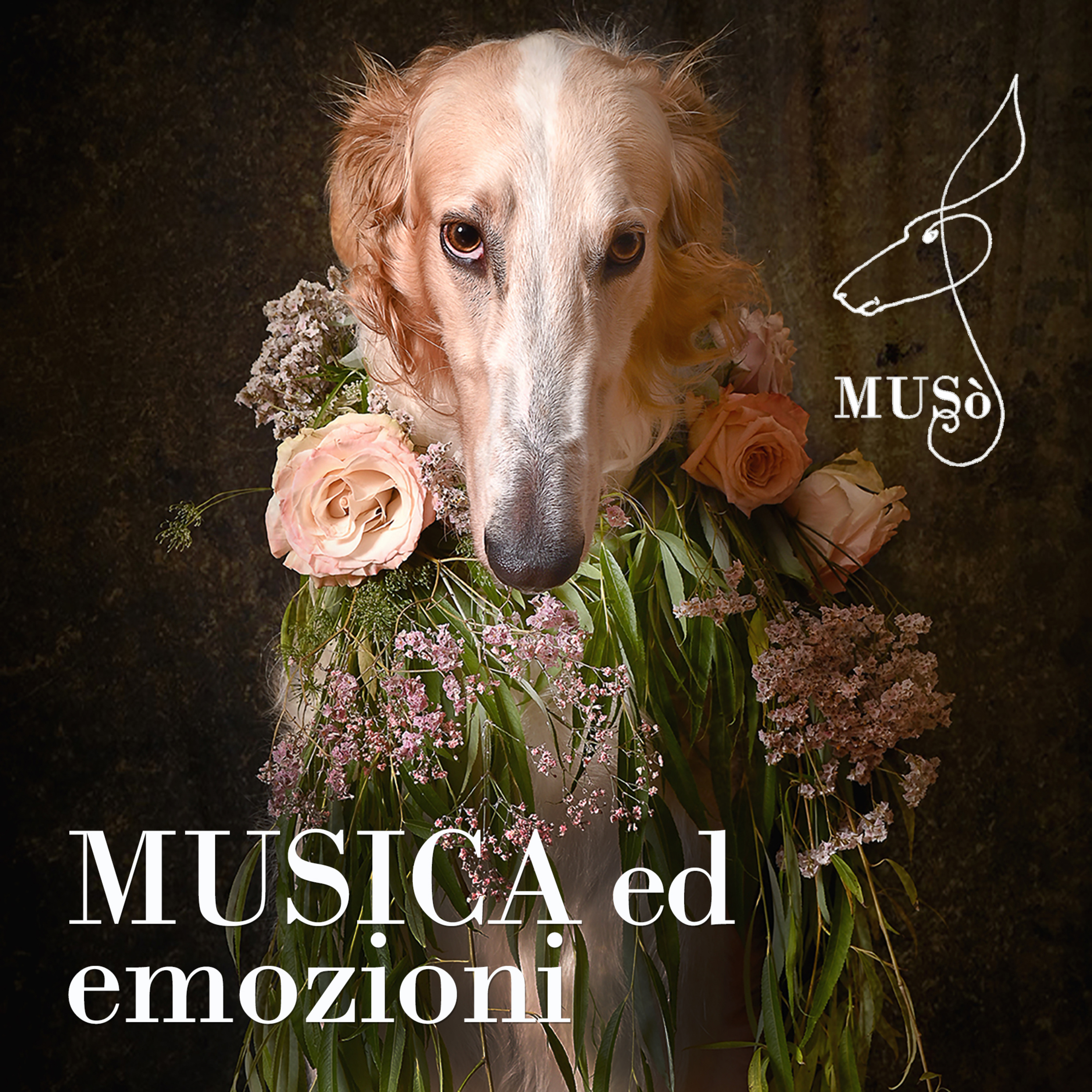 Musica ed emozioni episode artwork