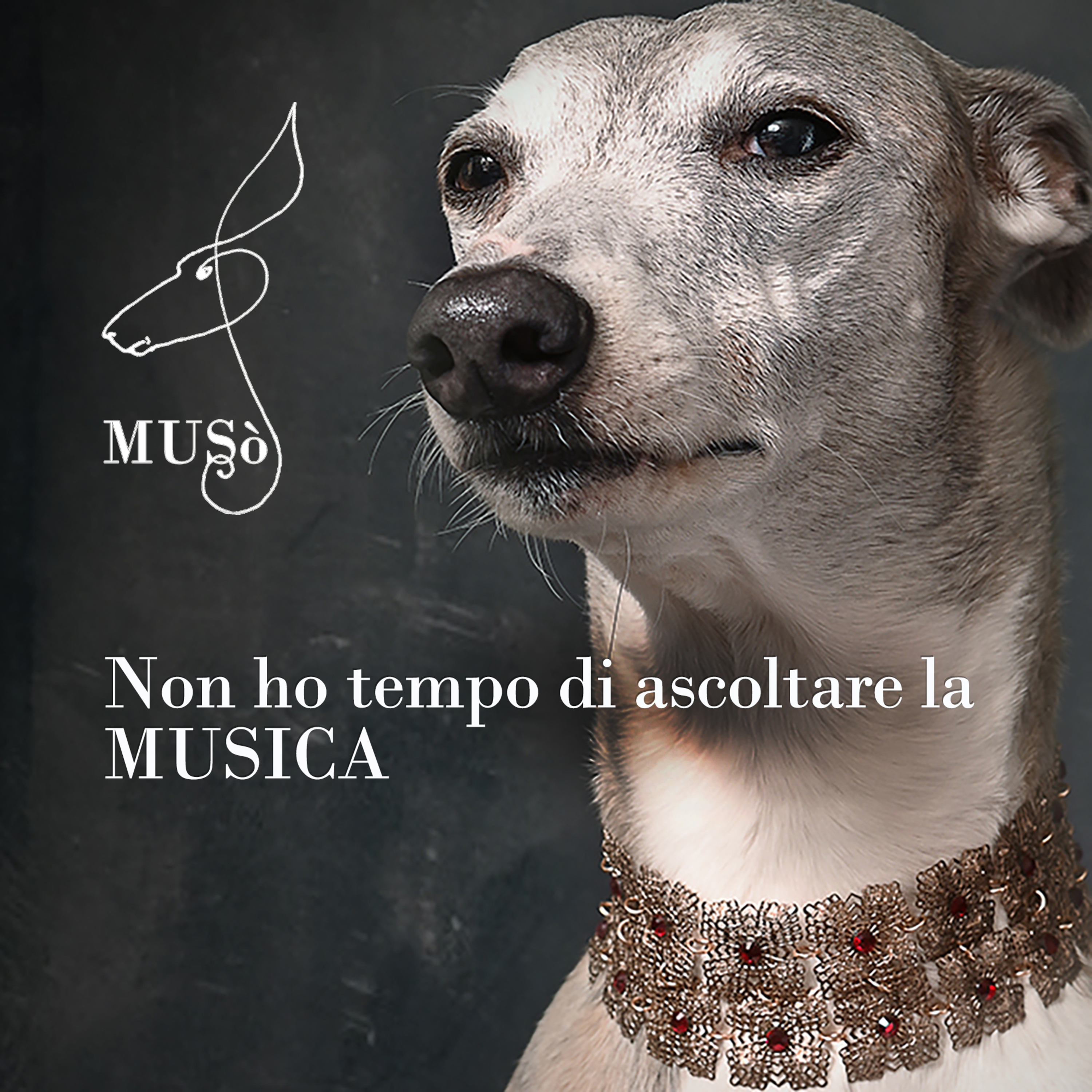 “Non ho tempo di ascoltare la musica” episode artwork