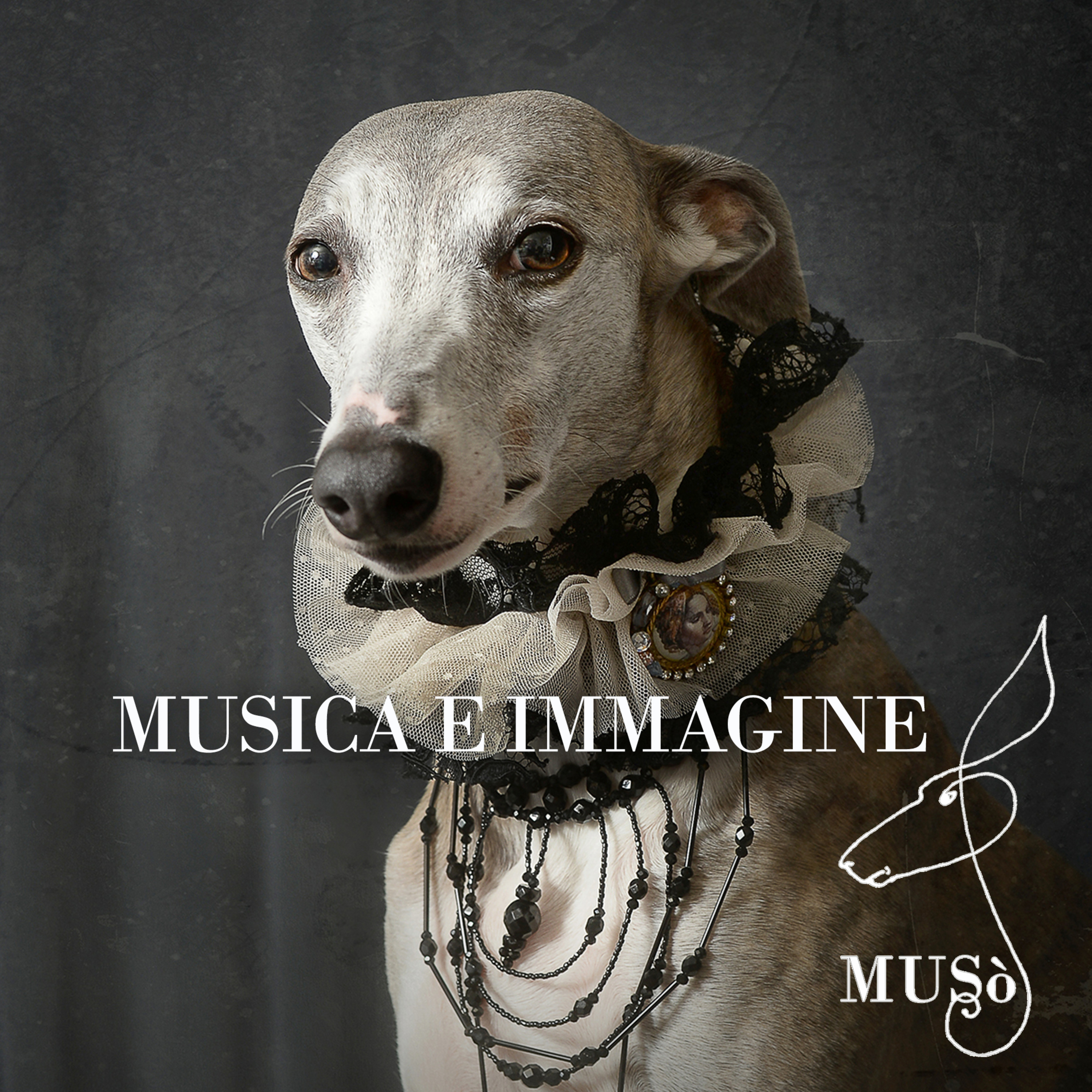 Musica e immagine. episode artwork