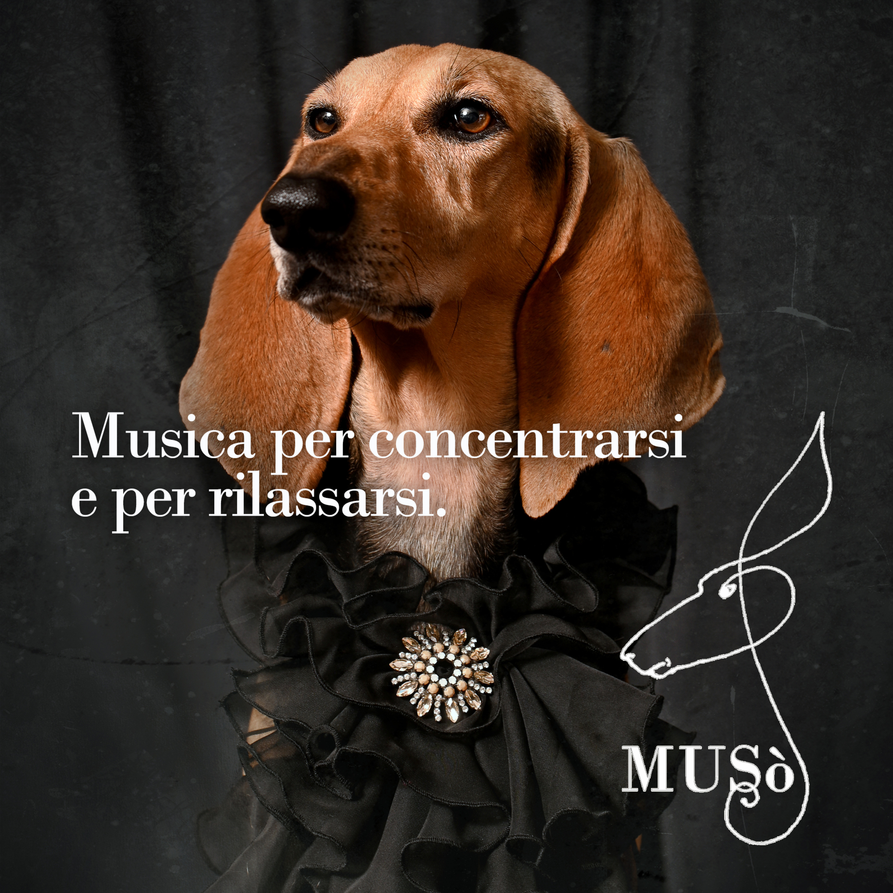 Musica per concentrarsi e per rilassarsi episode artwork