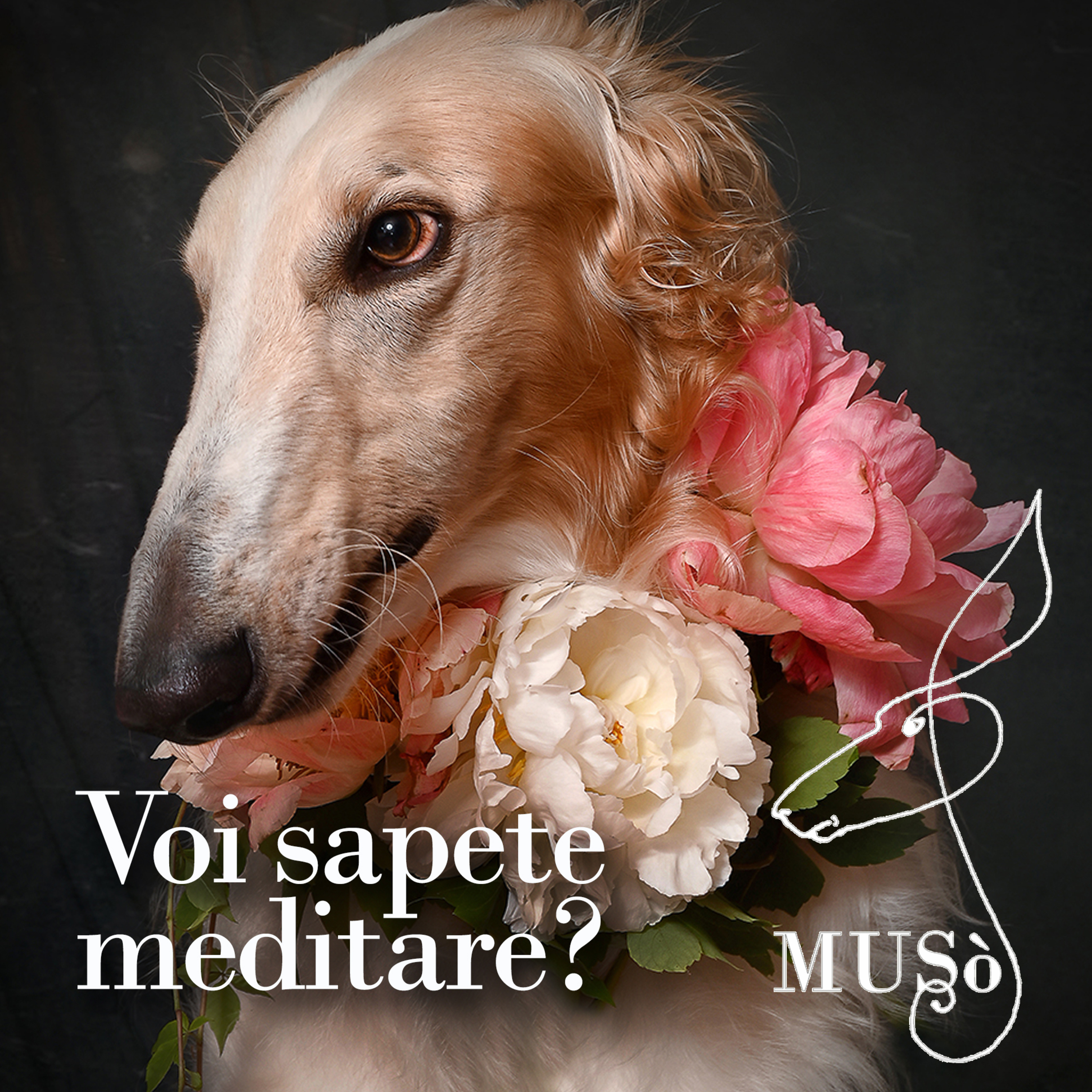 Muso_Podcast