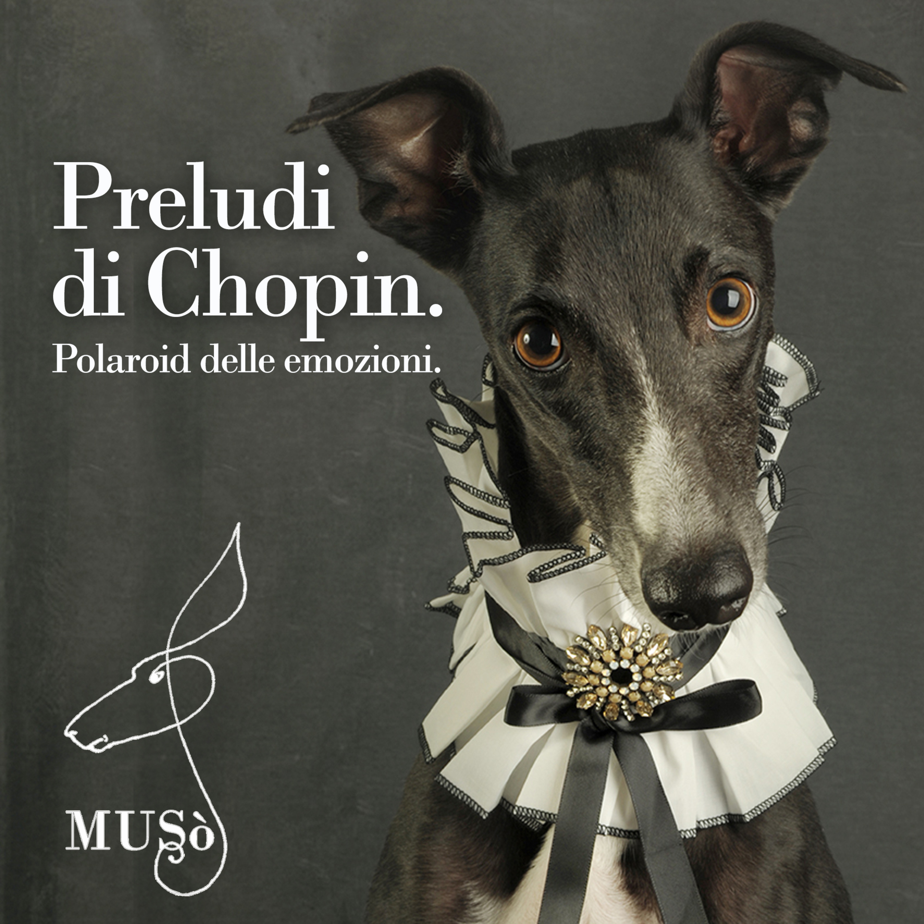 Preludi di Chopin. Polaroid delle emozioni. episode artwork
