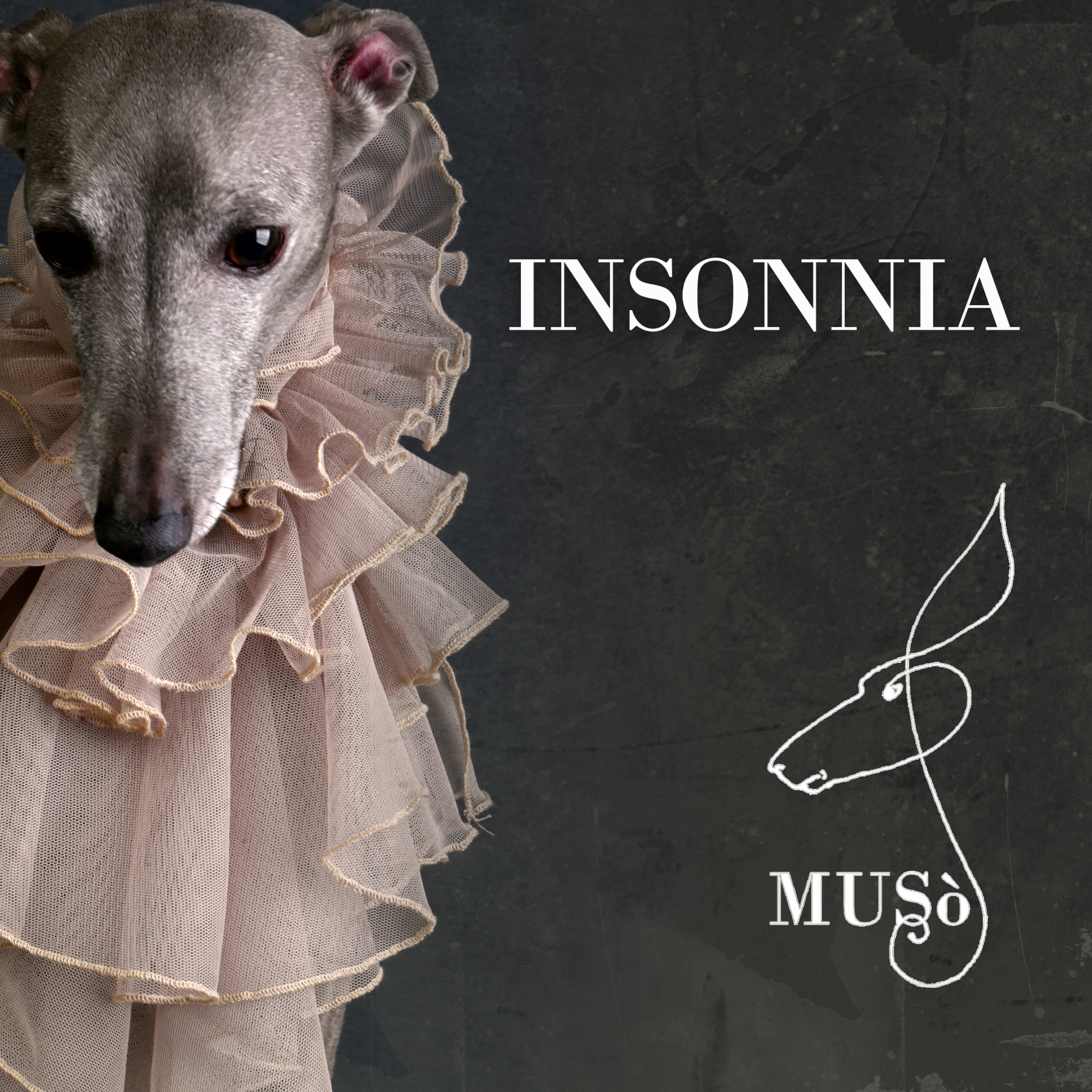 Insonnia episode artwork