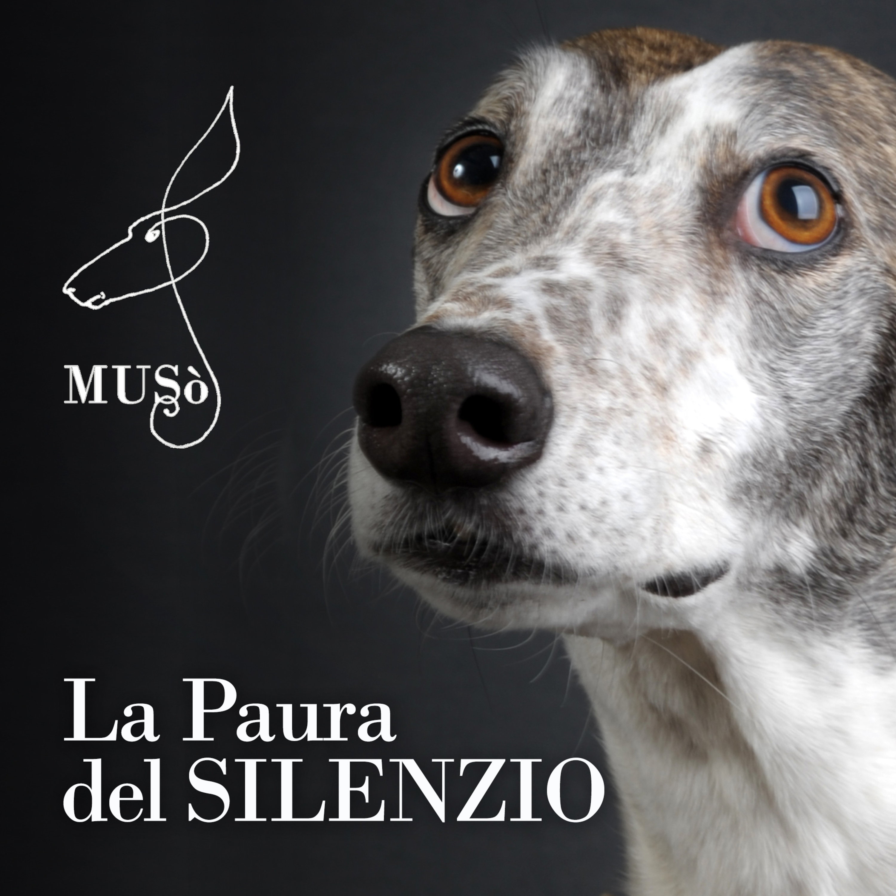La paura del silenzio.  episode artwork