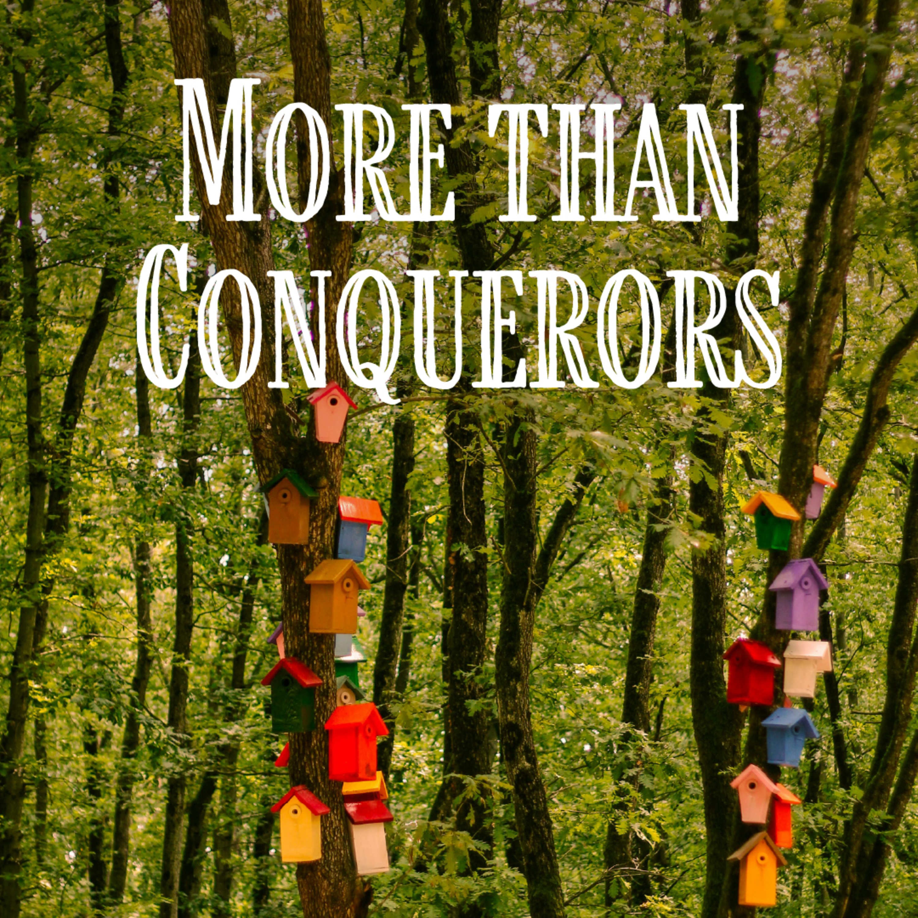 SERMON | Romans 8:26-39 | "More Than Conquerors" by Rev. Joseph Sanford at Grace United Methodist Church in Franklin, Indiana episode artwork