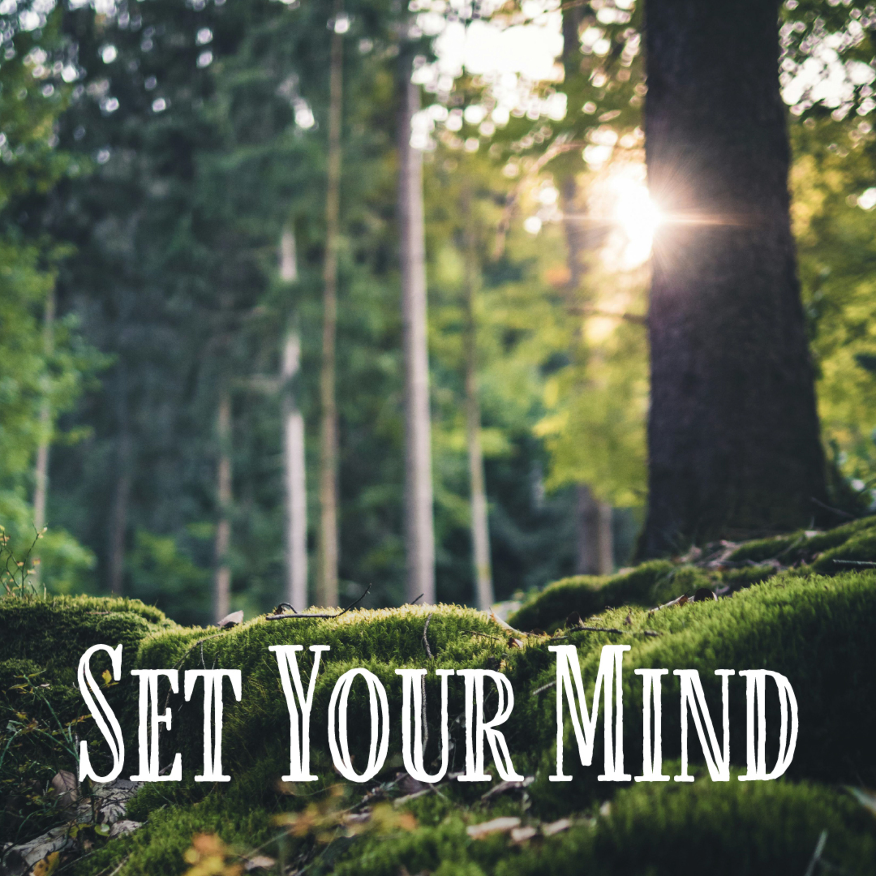 SERMON | Psalm 119:105-112 & Romans 8:1-11  |  "Set Your Mind" by Rev. Joseph Sanford at Grace United Methodist Church in Franklin, Indiana episode artwork