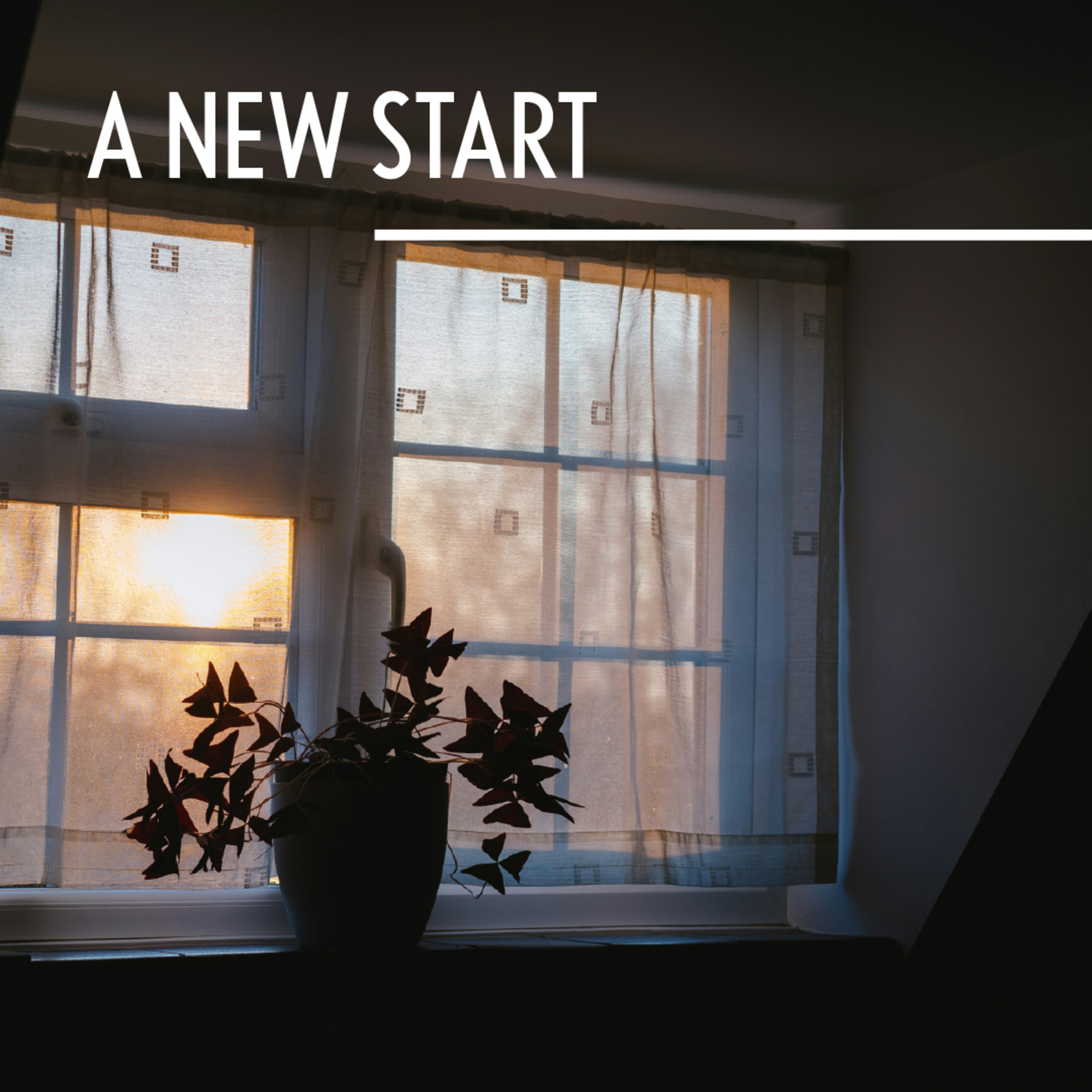 SERMON | Matthew 28:1-10  |  EASTER "A New Start" by Rev. Joseph Sanford at Grace United Methodist Church in Franklin, Indiana episode artwork