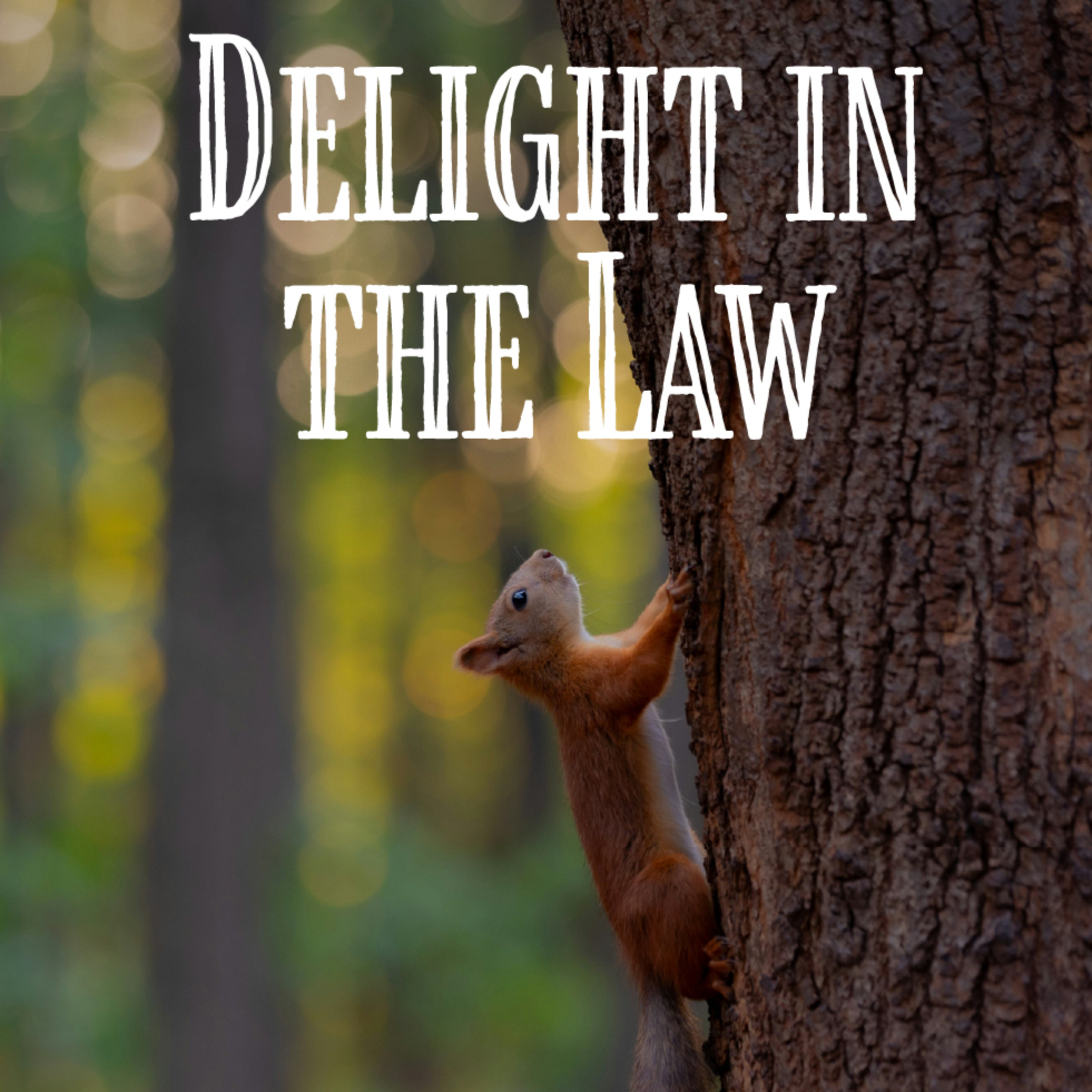 SERMON | Romans 7:15-25a | "Delight In the Law" by Rev. Ceciliah Igweta-Keega at Grace United Methodist Church in Franklin, Indiana episode artwork