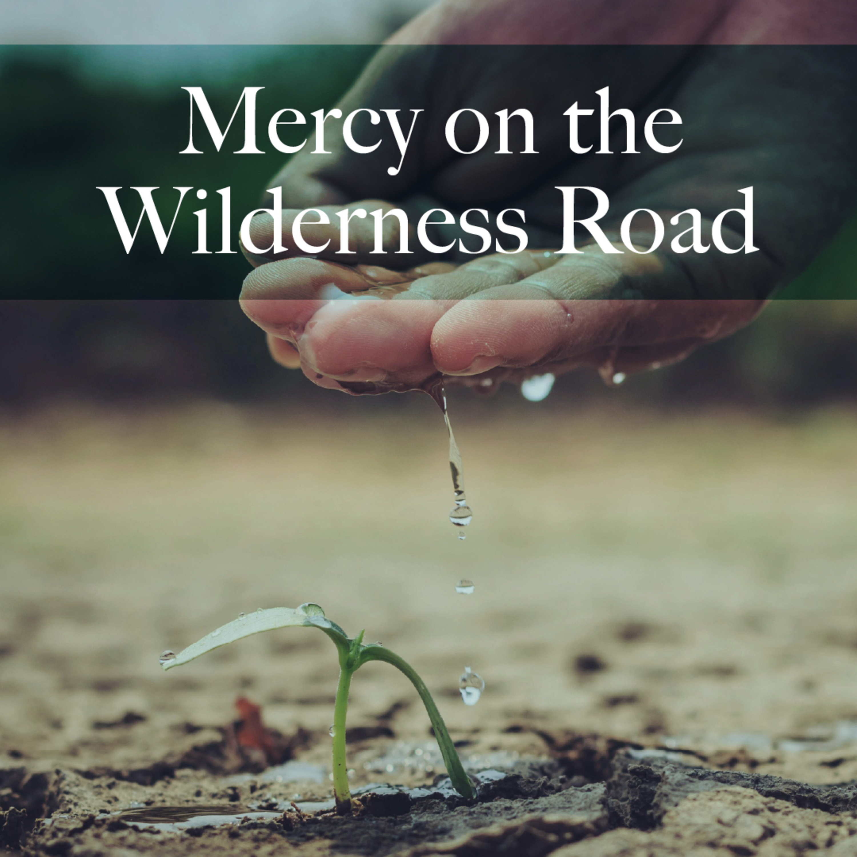 SERMON | Psalm 32 & Matthew 4:1-11  |  "Mercy on the Wilderness Road" by Rev. Ceciliah Igweta-Keega at Grace United Methodist Church in Franklin, Indiana episode artwork