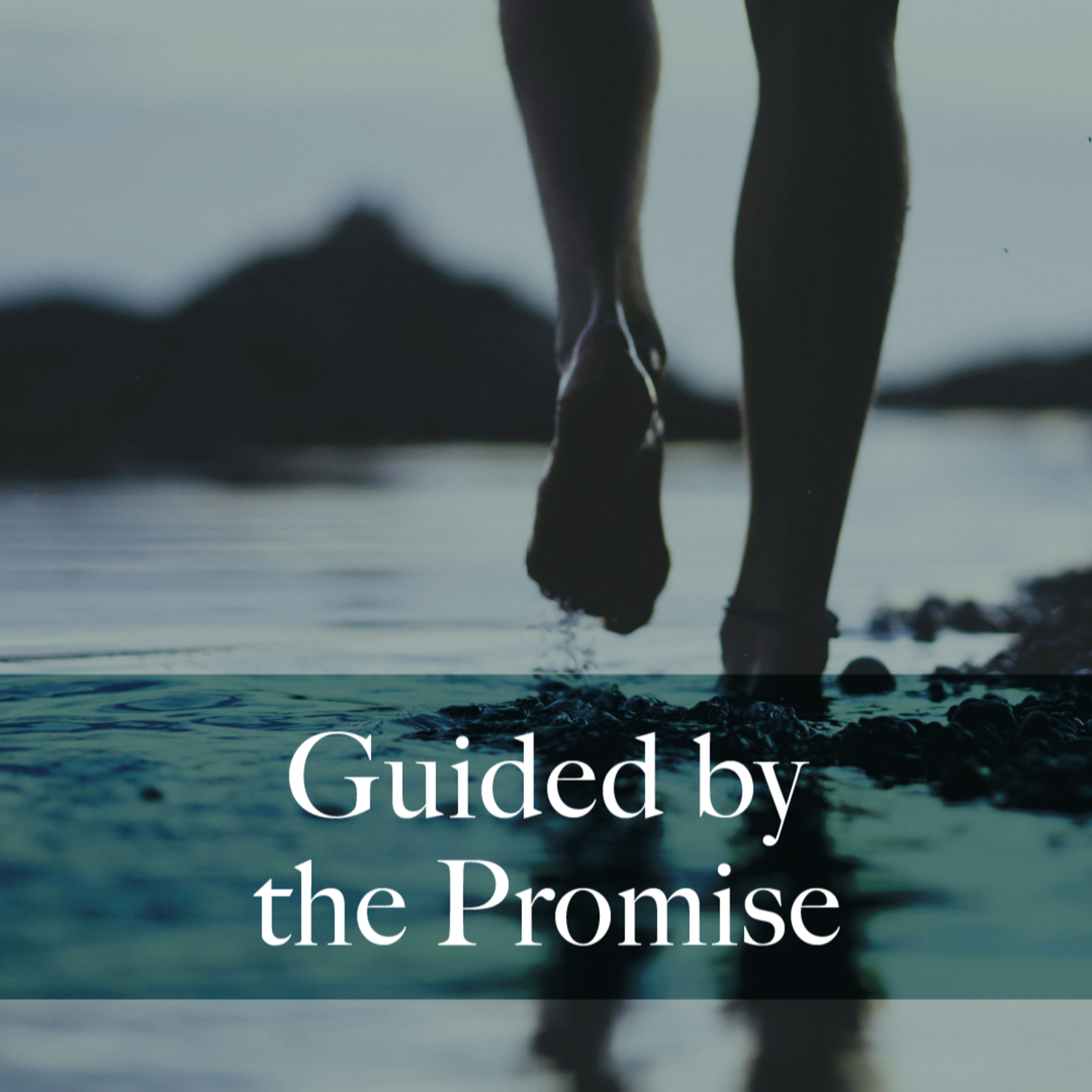 SERMON | Genesis 12, Romans 4:1-5 & John 3:1-17  | "Guided by the Promise" by Rev. Joseph Sanford at Grace United Methodist Church in Franklin, Indiana episode artwork