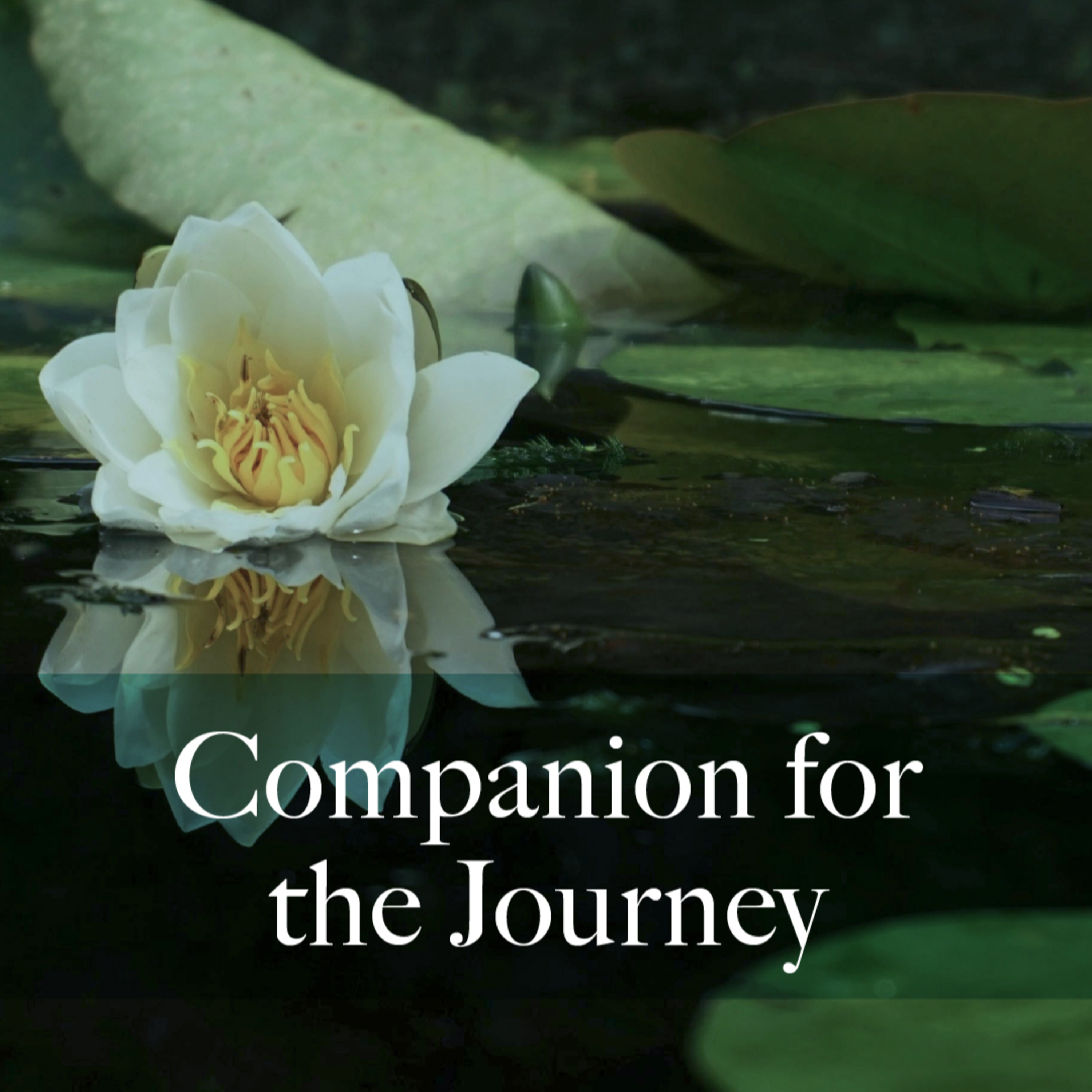 SERMON | Psalm 95:1-3, 8-10 & Romans 5:1-11  |  "Companion for the Journey" by Rev. Ceciliah Igweta-Keega at Grace United Methodist Church in Franklin, Indiana episode artwork