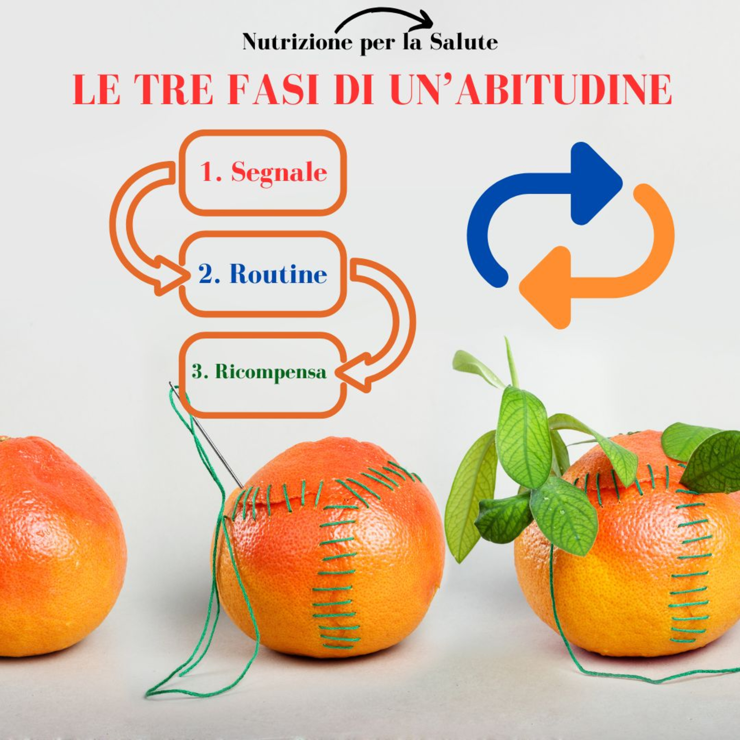 NUTRIZIONISTA DR ORICCHIO GENNARO