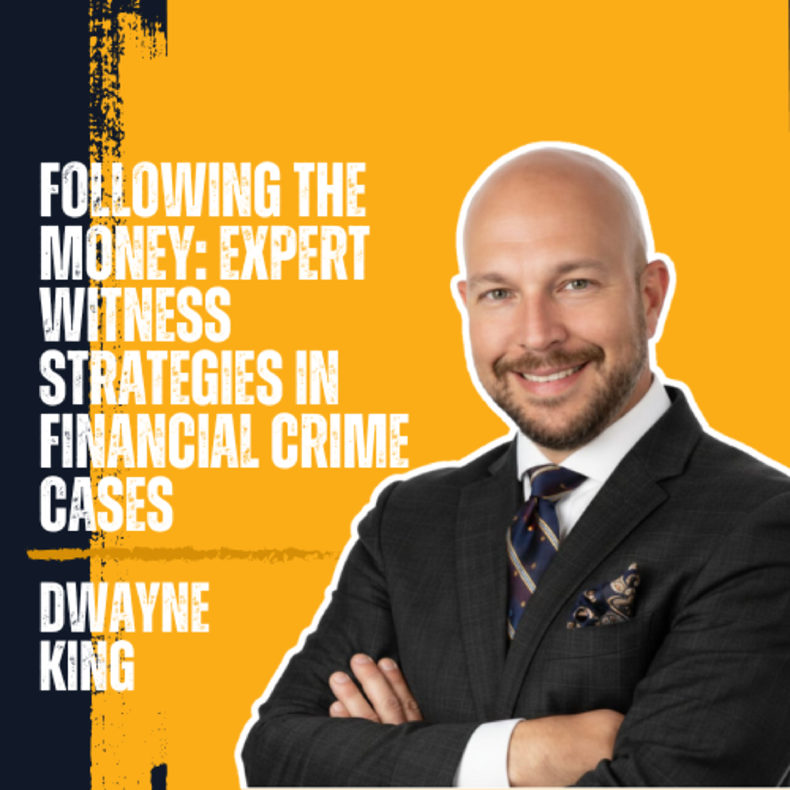Following the Money: Expert Witness Strategies in Financial Crime Cases episode artwork