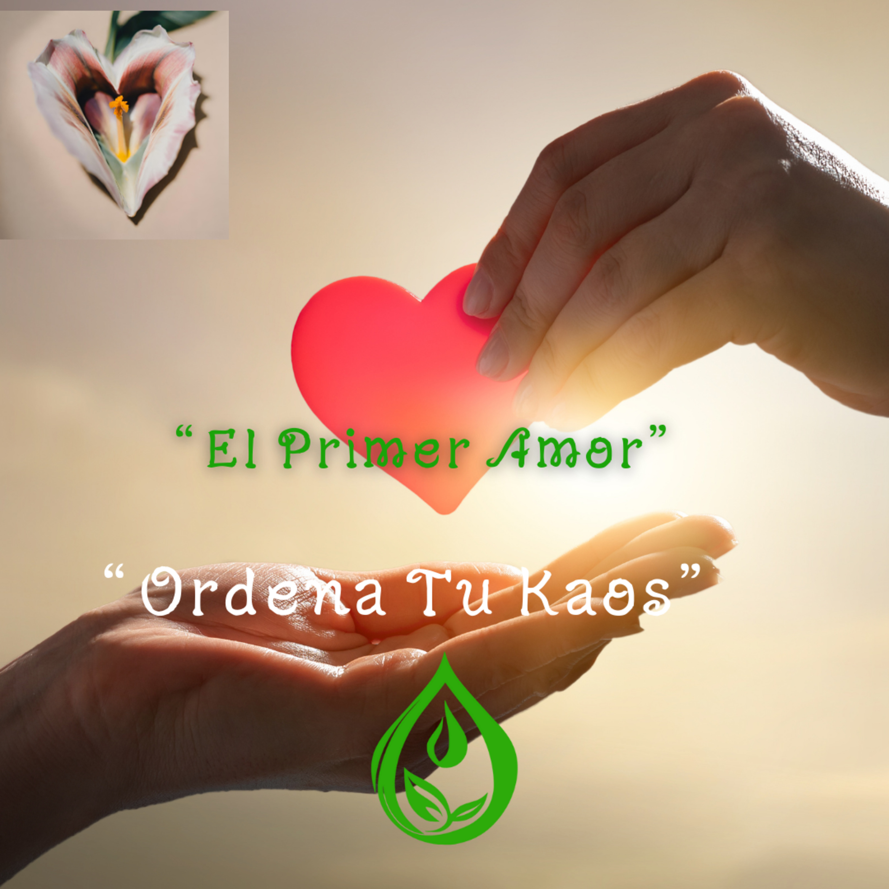 Ordena Tu Kaos