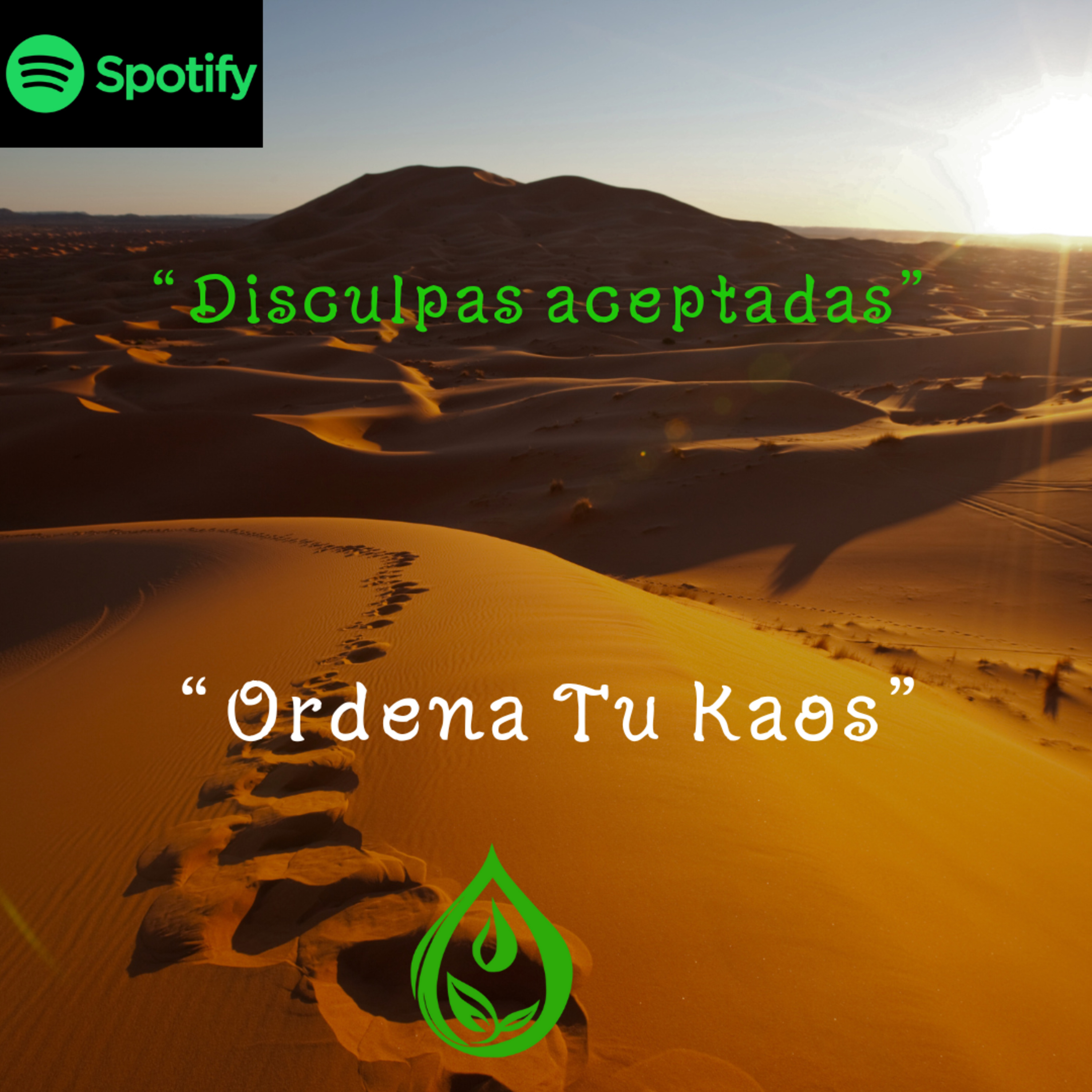 Ordena Tu Kaos