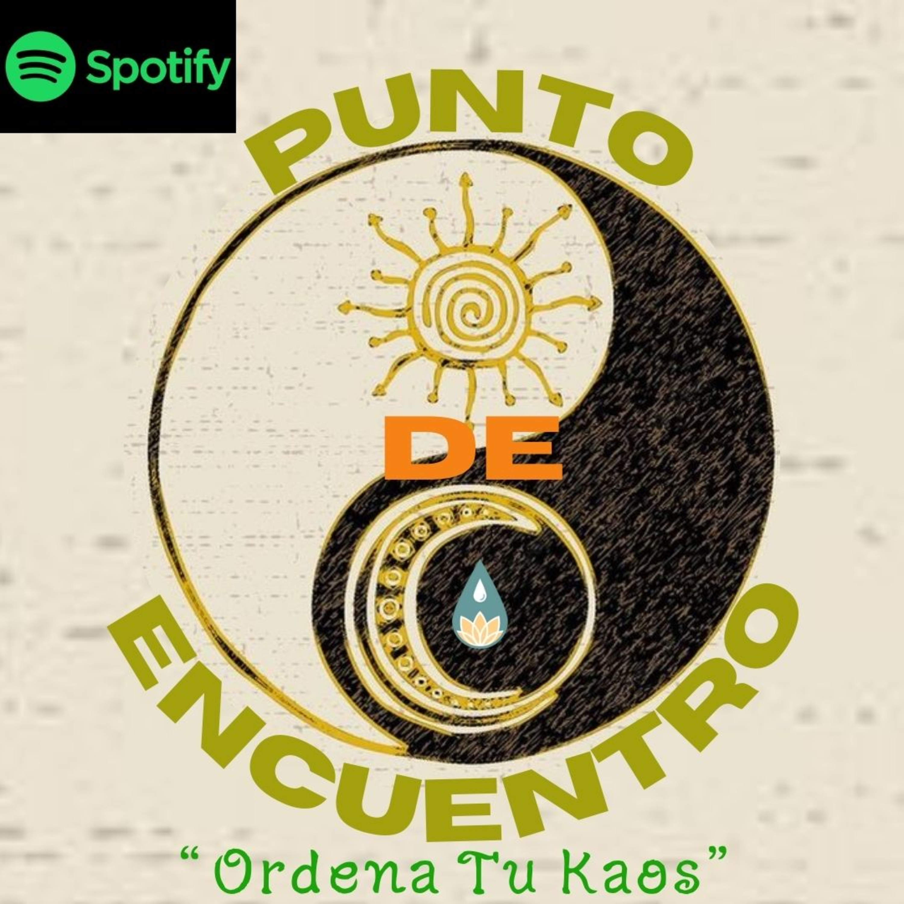Ordena Tu Kaos