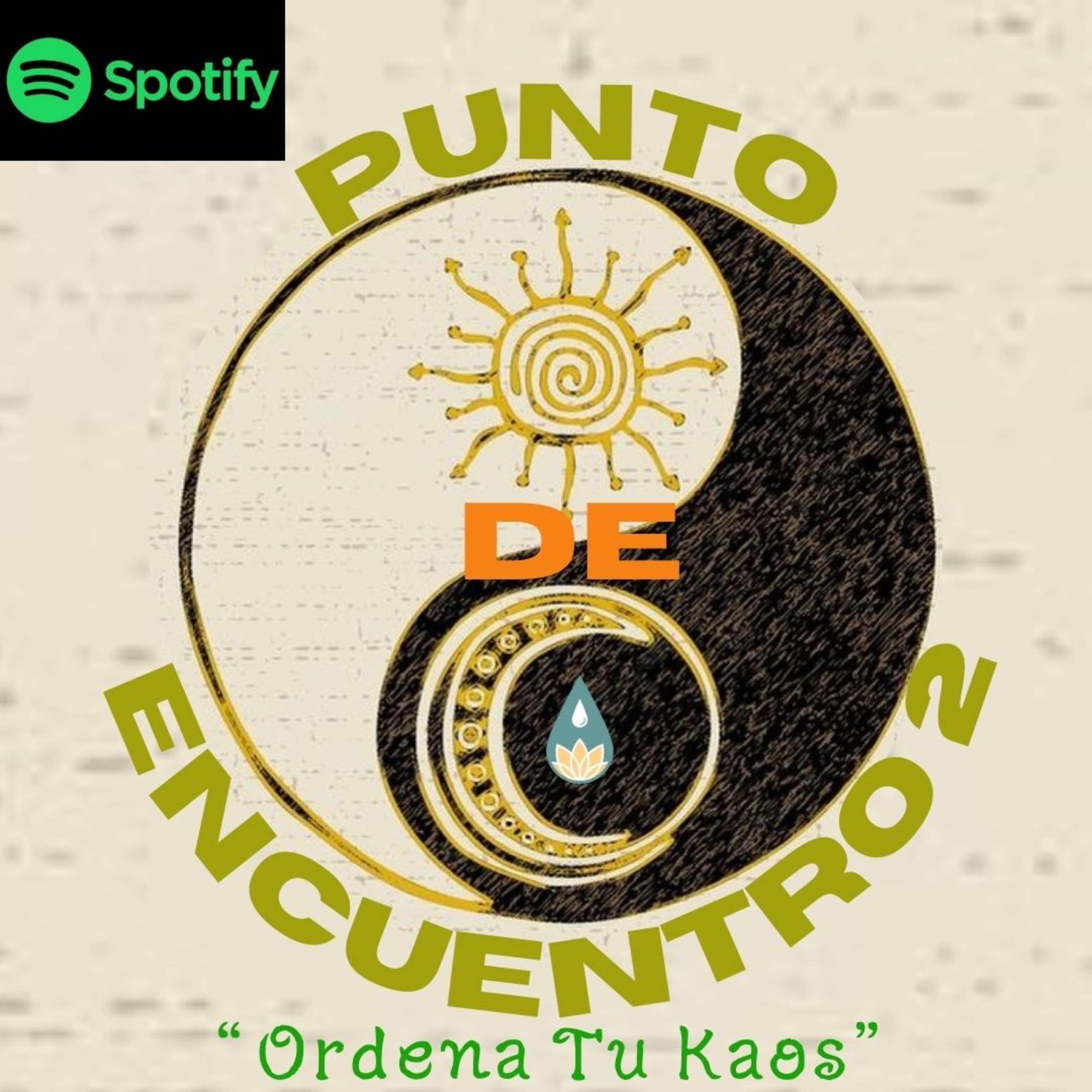 Ordena Tu Kaos
