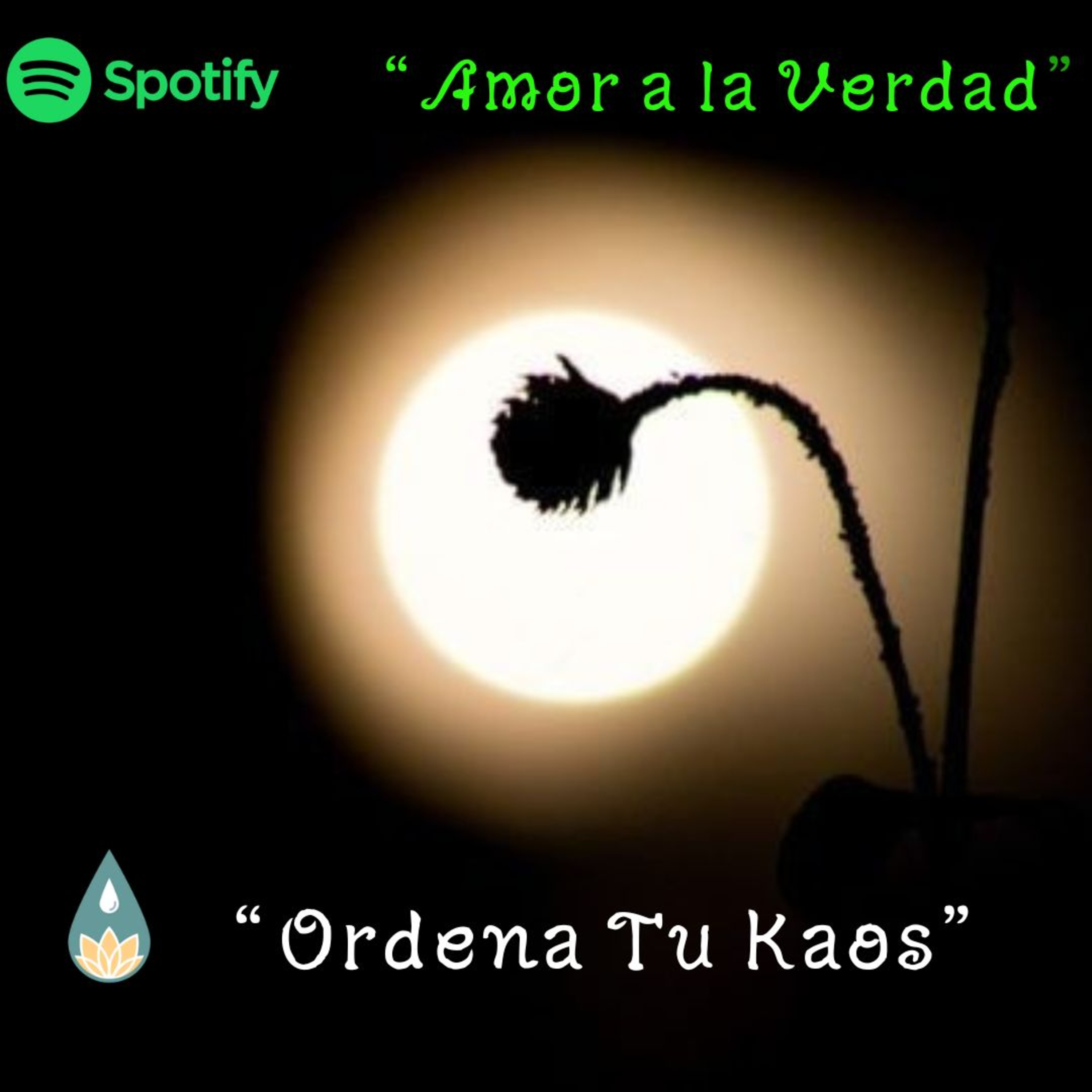 Ordena Tu Kaos