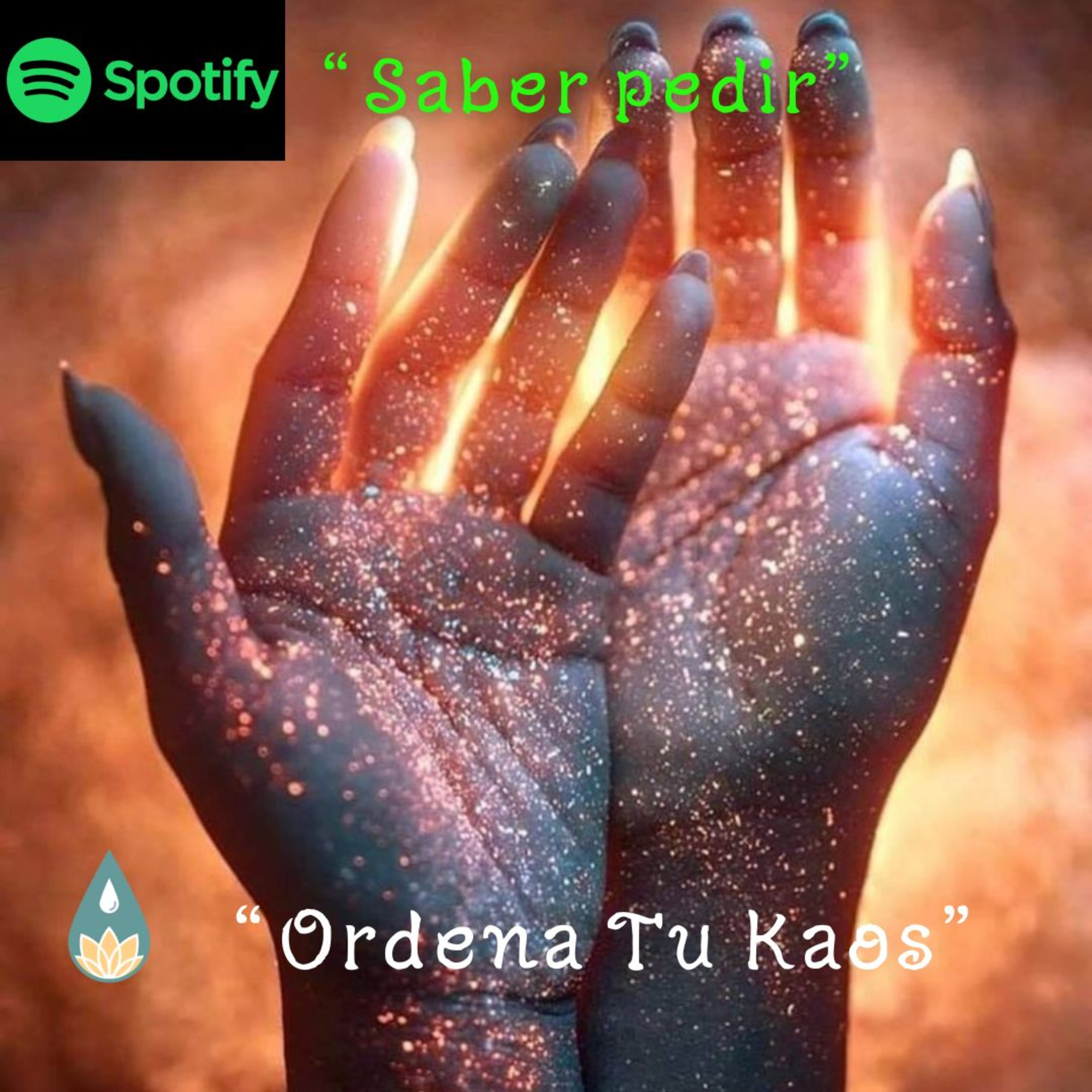 Ordena Tu Kaos