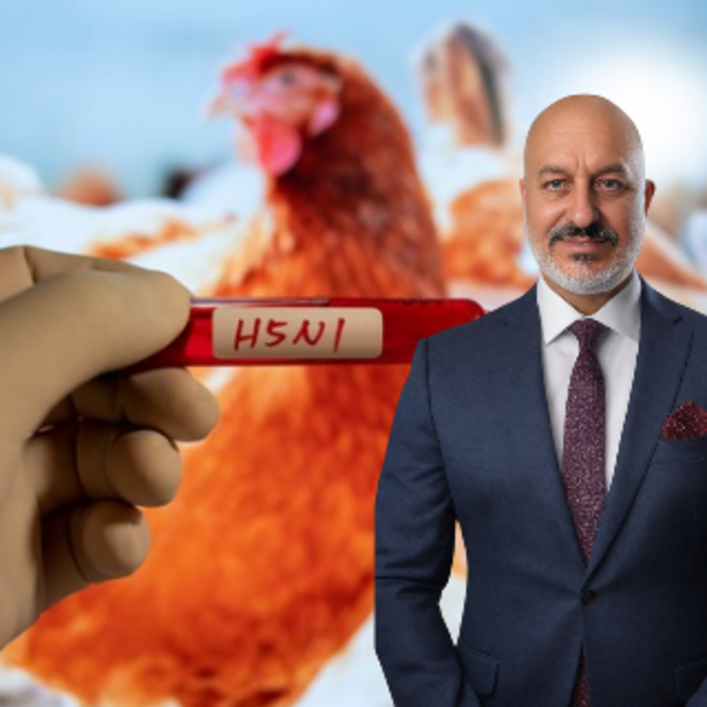 Bird Flu: Low Risk to Public, High Risk to Animals episode artwork