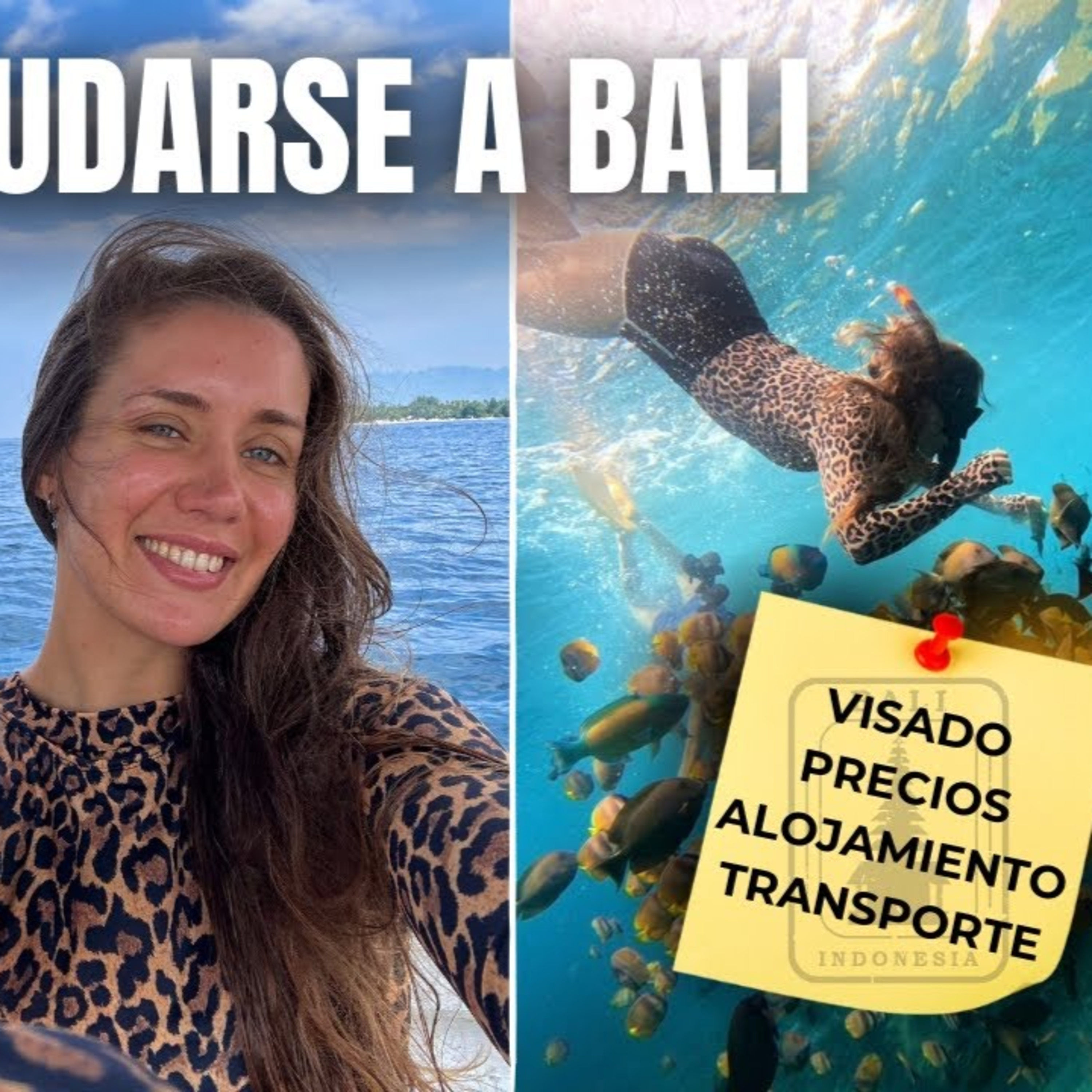 🌍Nómada Digital: Ganar Dinero Online como Freelancer, Emprendimiento y Viajes por el Mundo