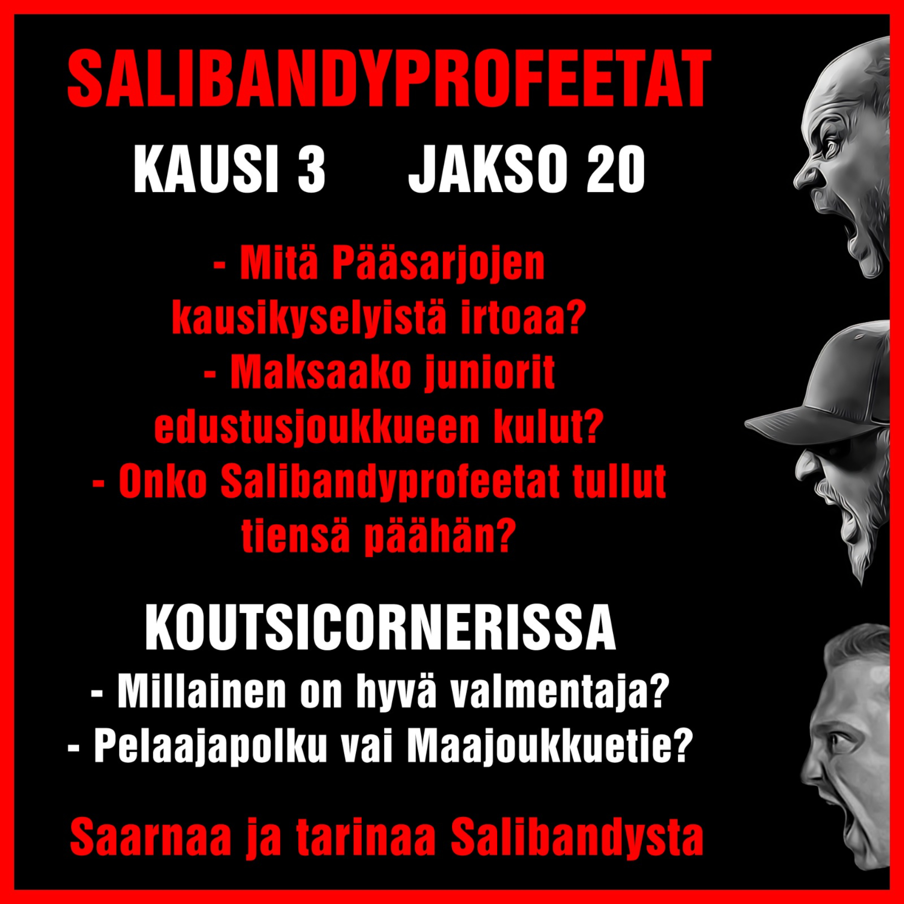 SALIBANDYPROFEETAT