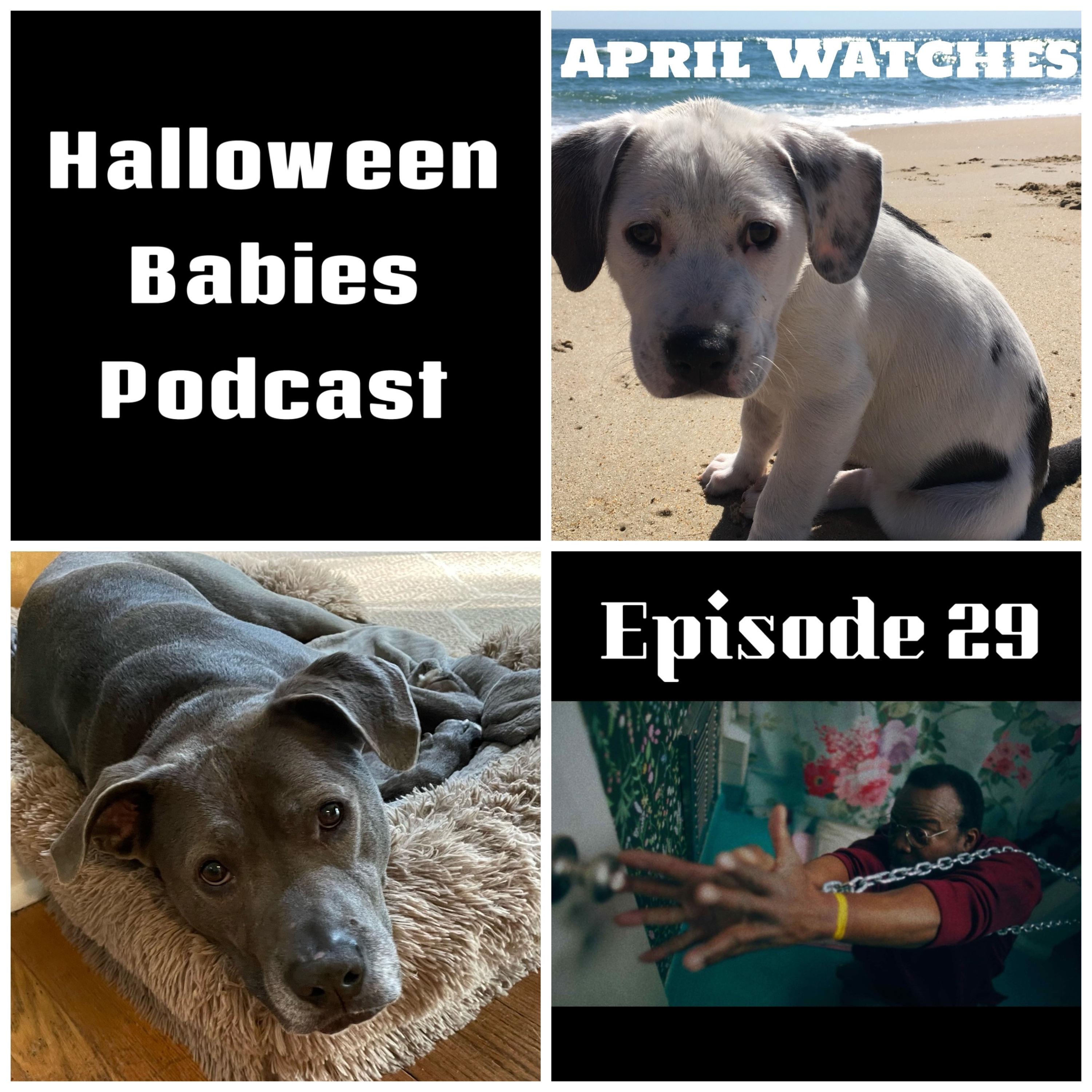 Episode 29-New House, New Dog and April Watches episode artwork