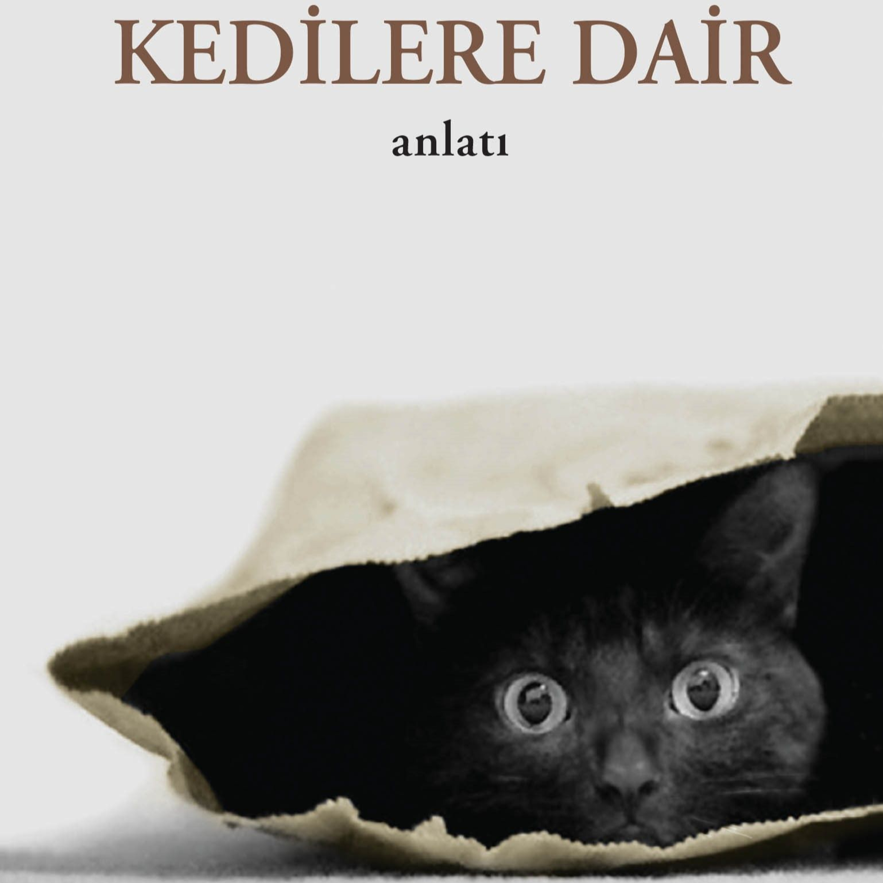 Sözün Sesinde Yolculuk