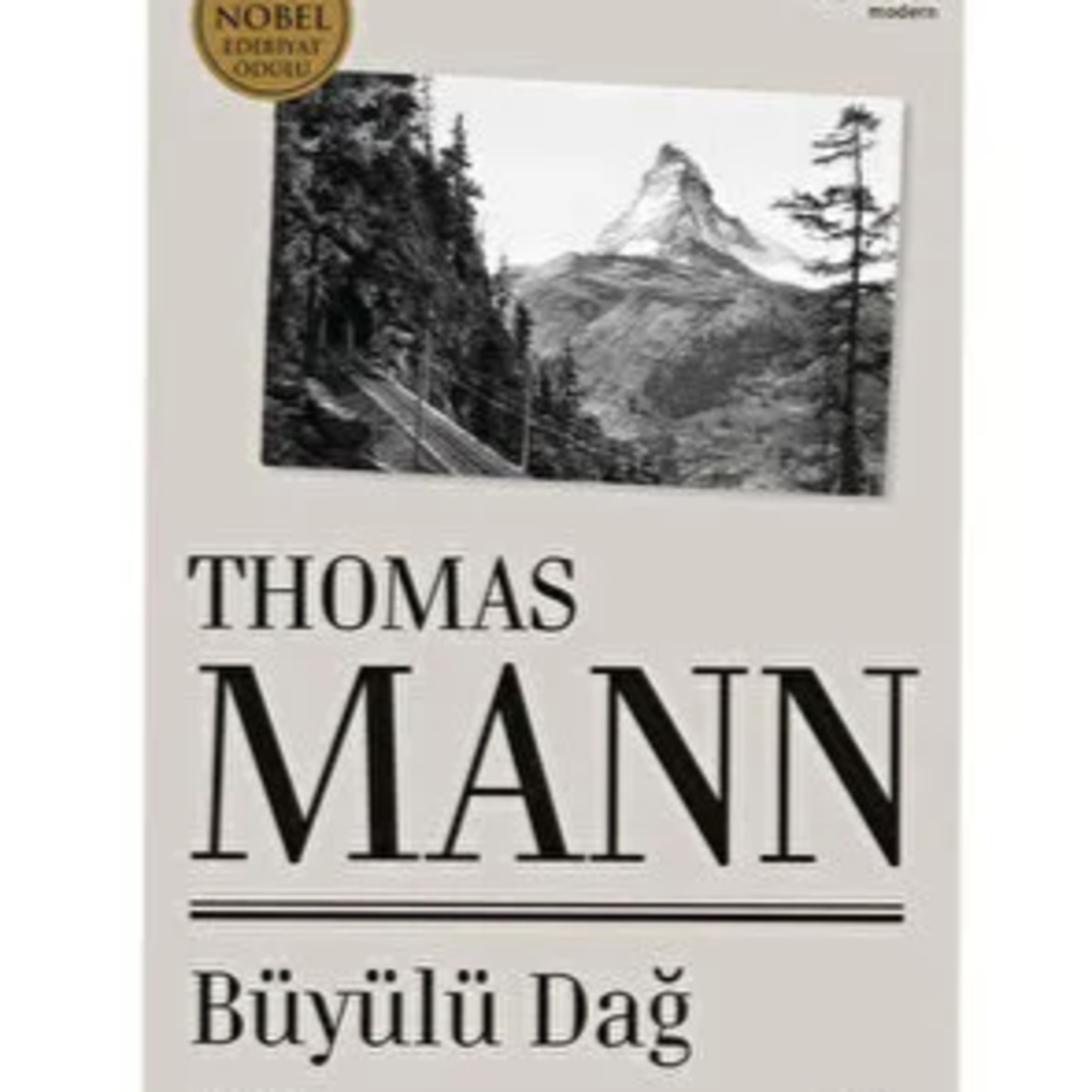 Thomas Mann - Büyülü Dağ episode artwork