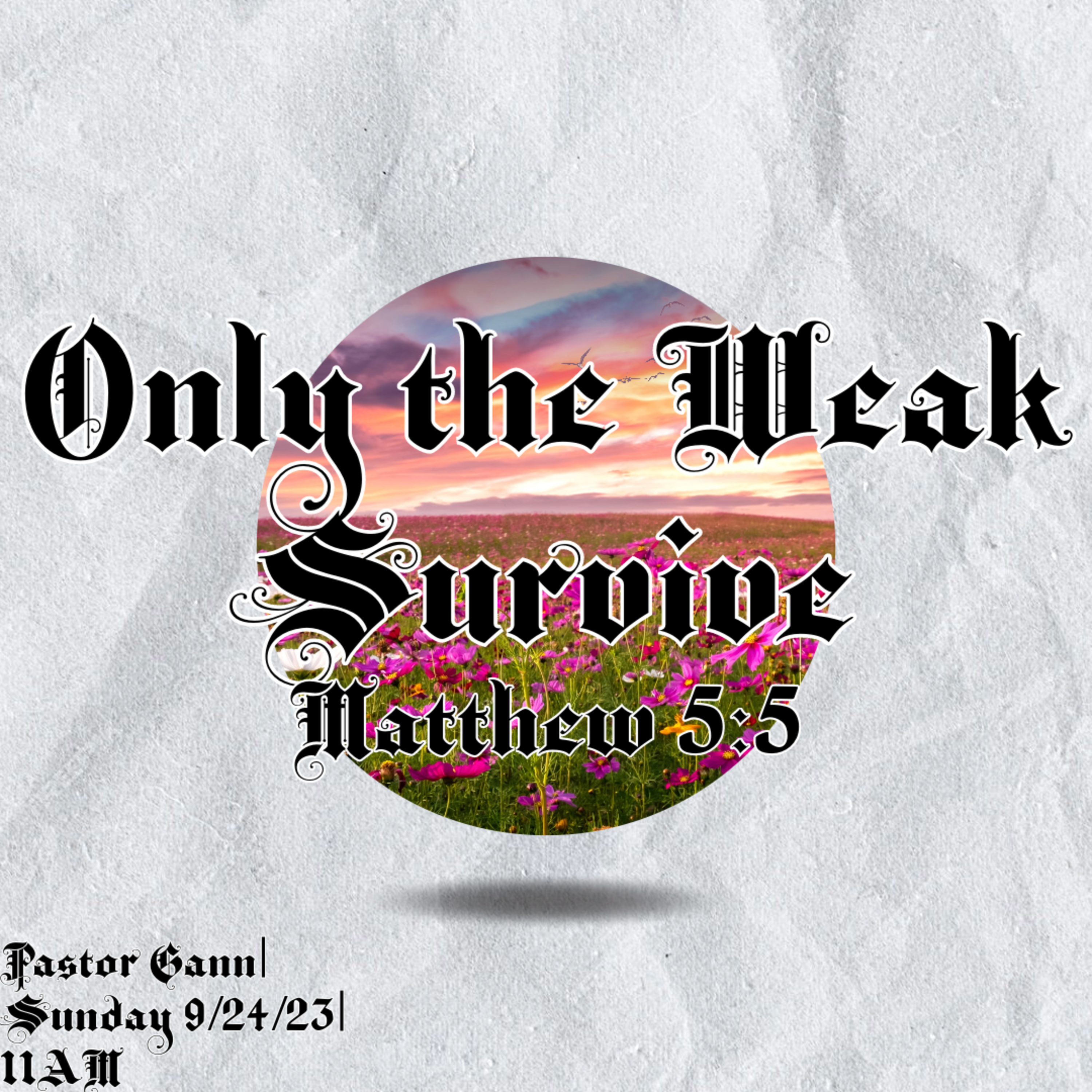 Only the Weak Survive episode artwork
