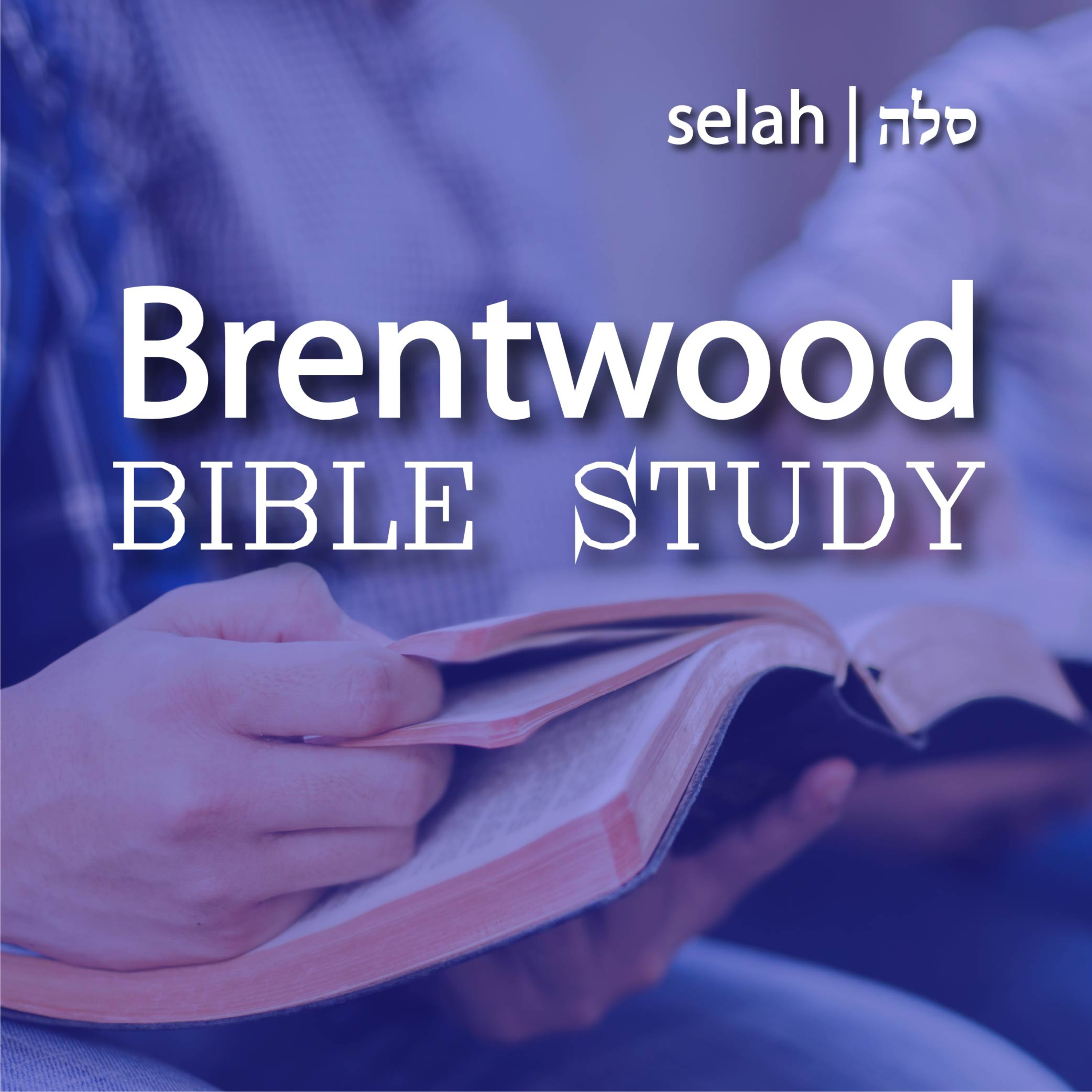 BBS – 25/02/25 – Walking in New Life as a Woman in the Kingdom of Christ (pt. 2) episode artwork