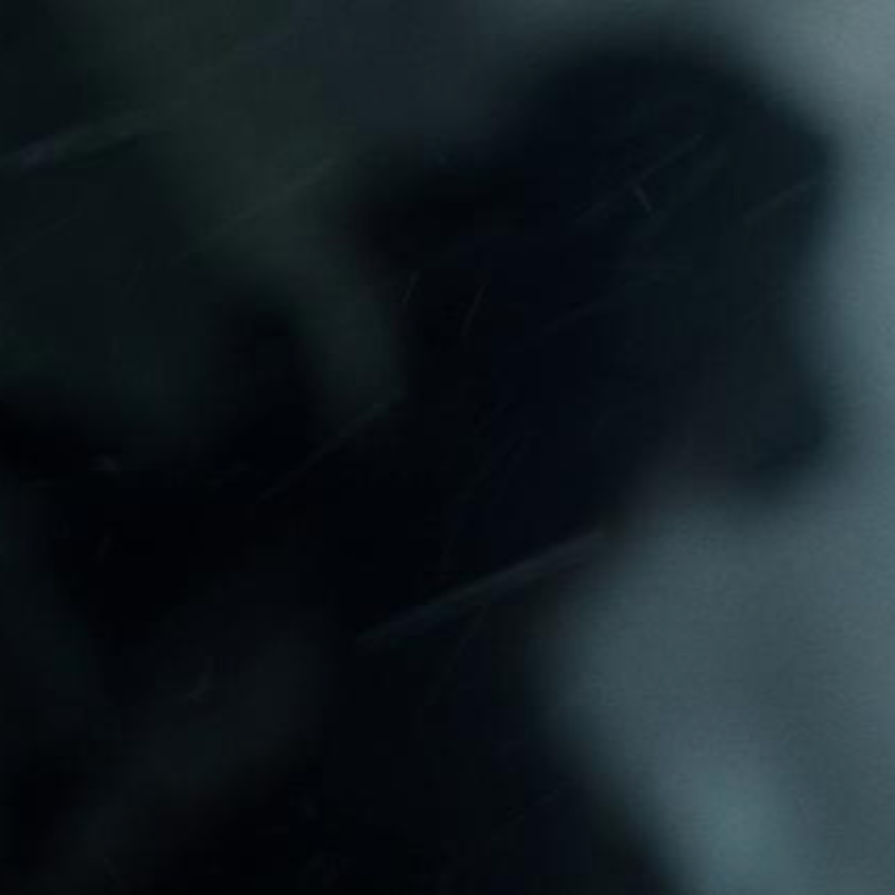 David Fincher, le classique contemporain (rétrospective) episode artwork