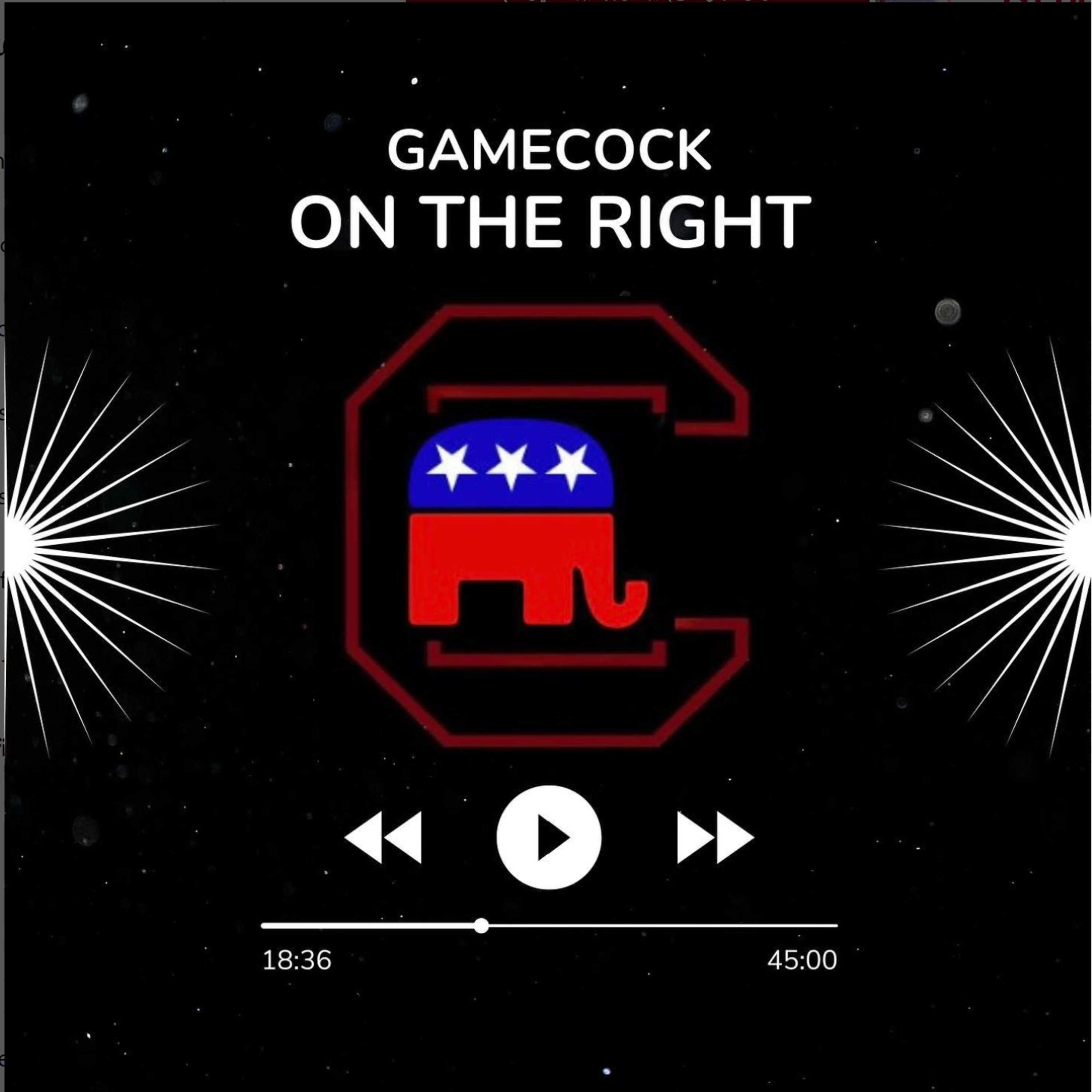 Gamecock on the Right episode artwork