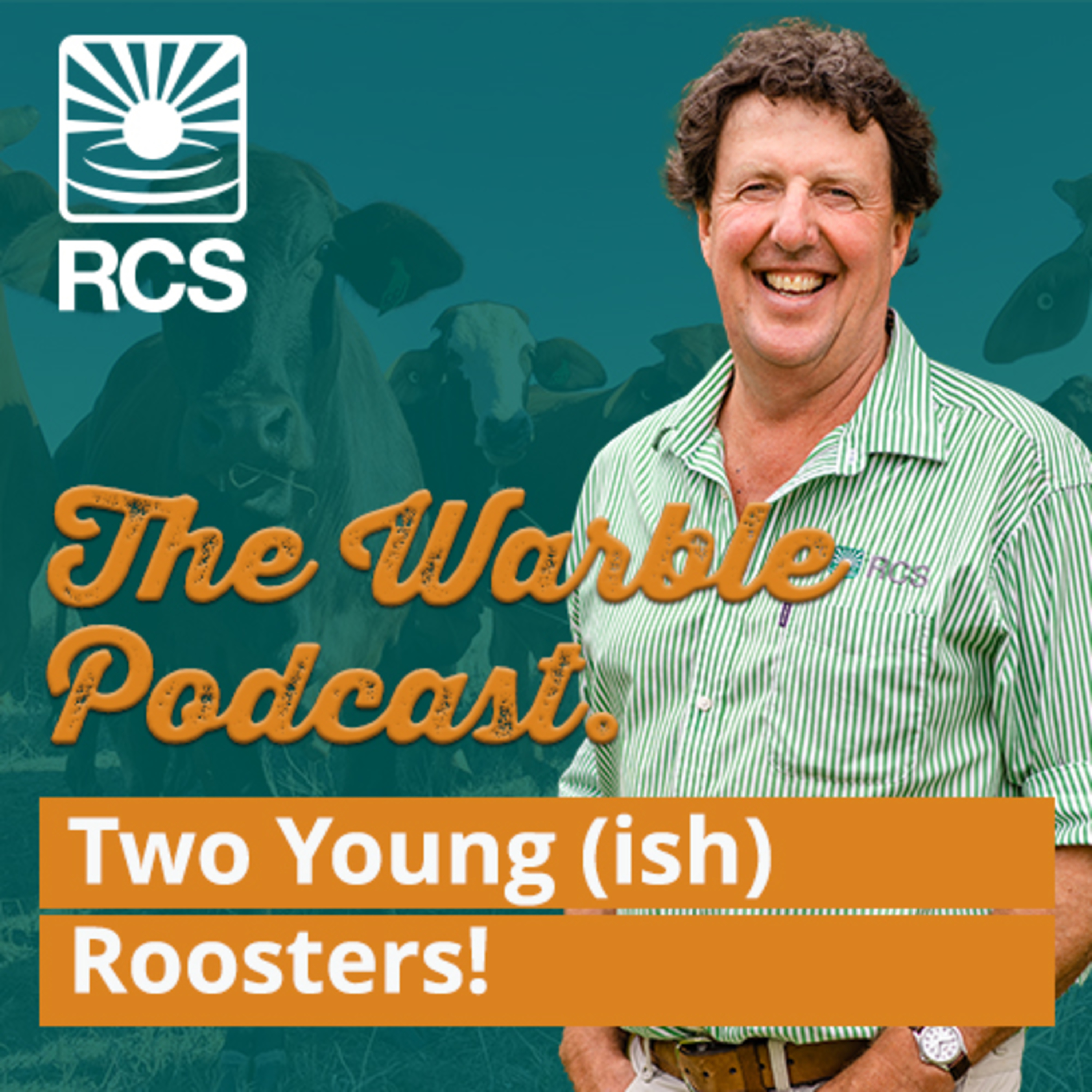 Two Young (ish) Roosters