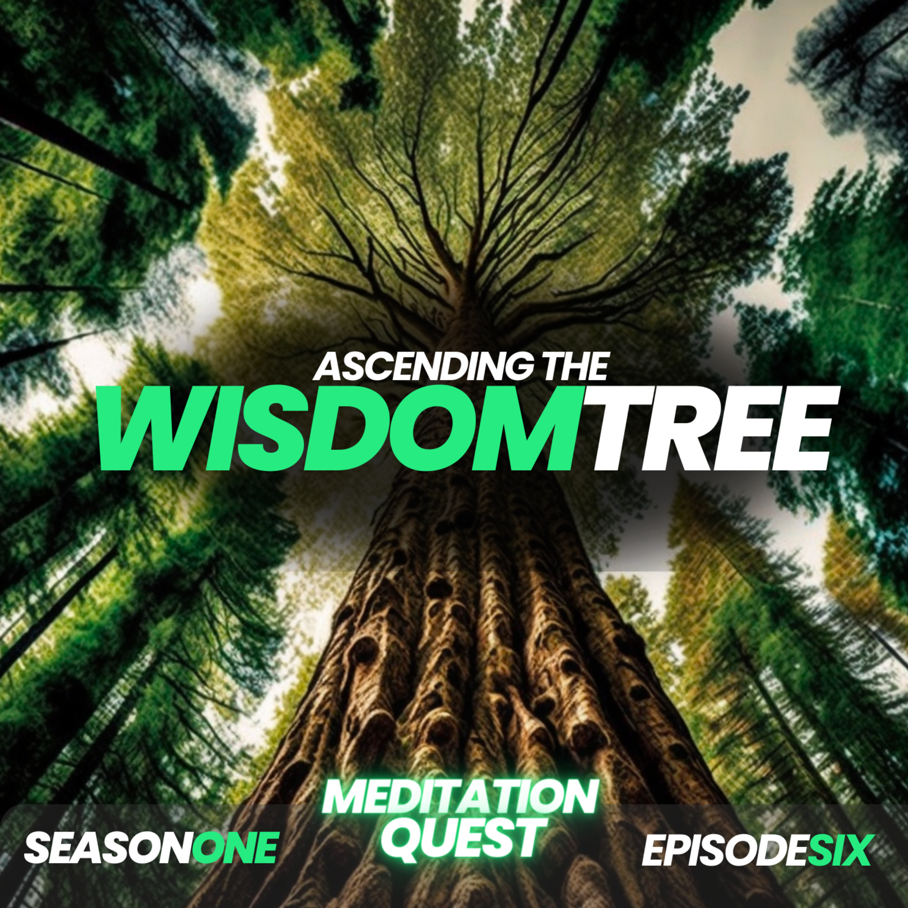 Meditation Quest
