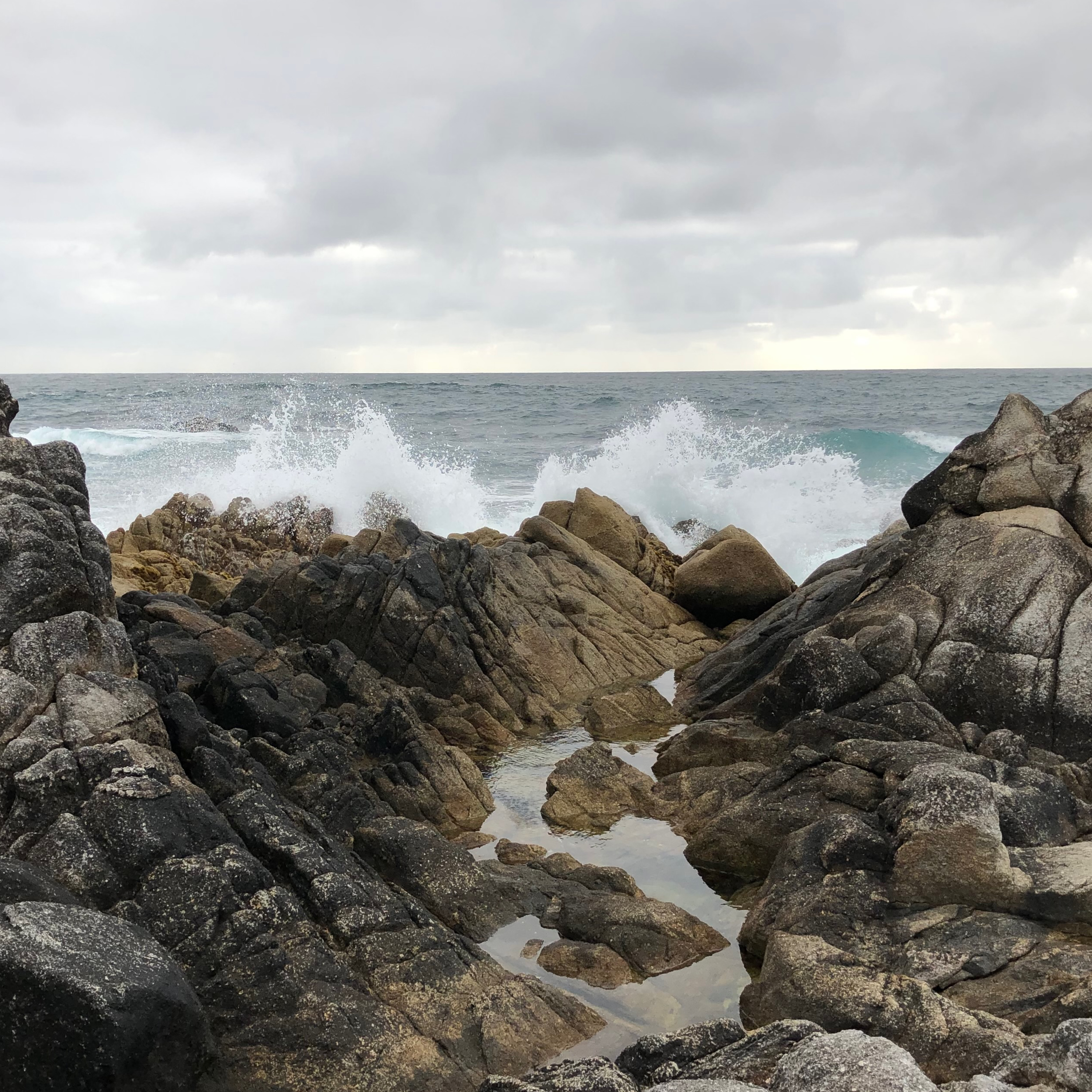 MindVayu: Meditation with Shalaka