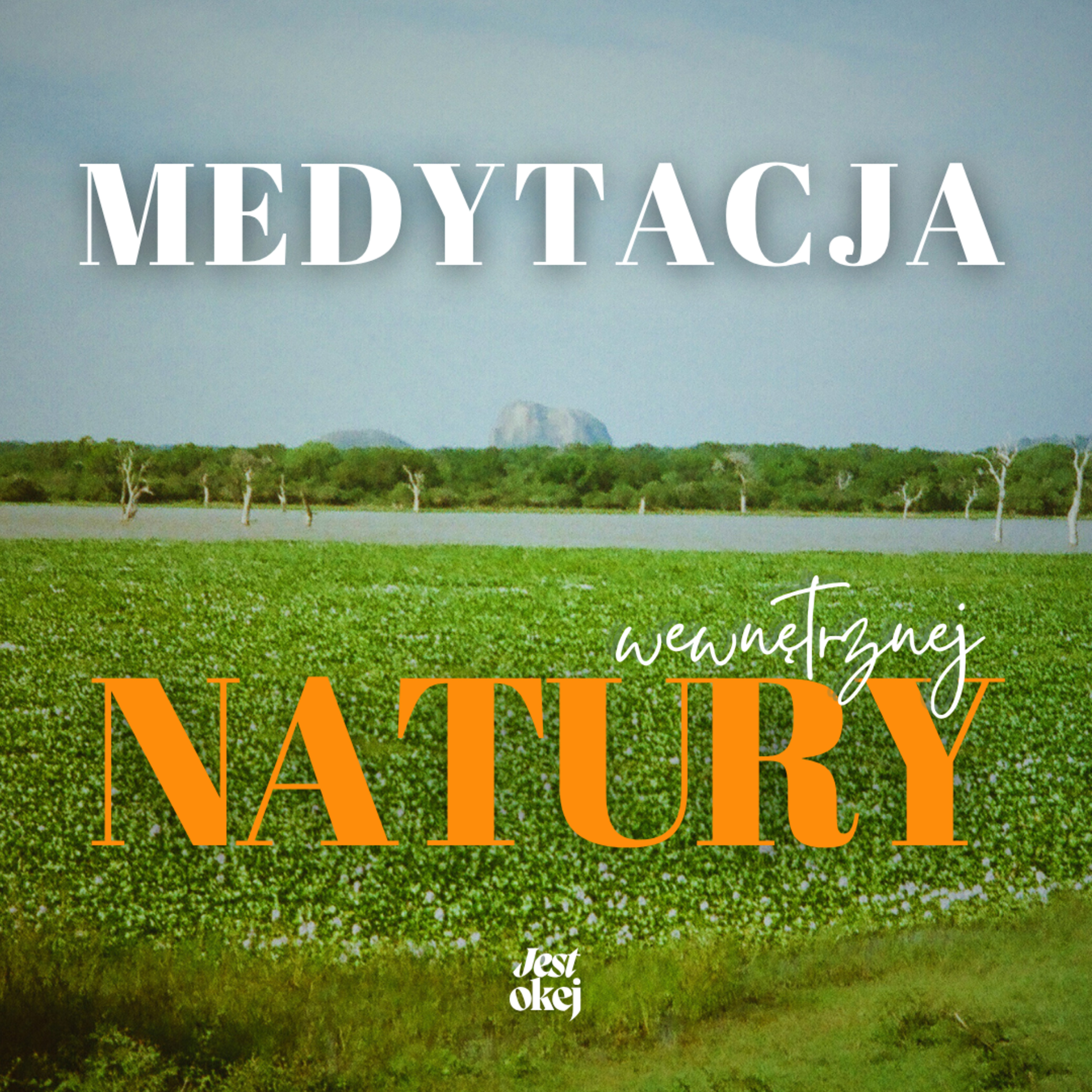 wewnętrzna NATURA i równowaga // medytacja episode artwork