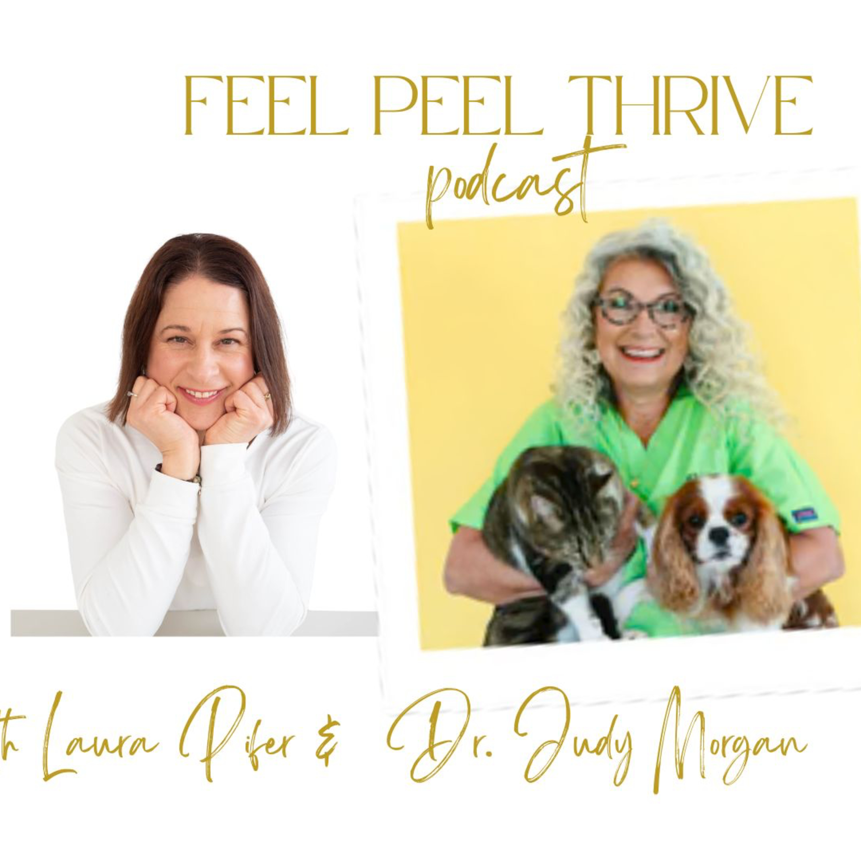 Holistic Pet Health: What Every Pet Parent Needs to Know | Dr. Judy Morgan episode artwork