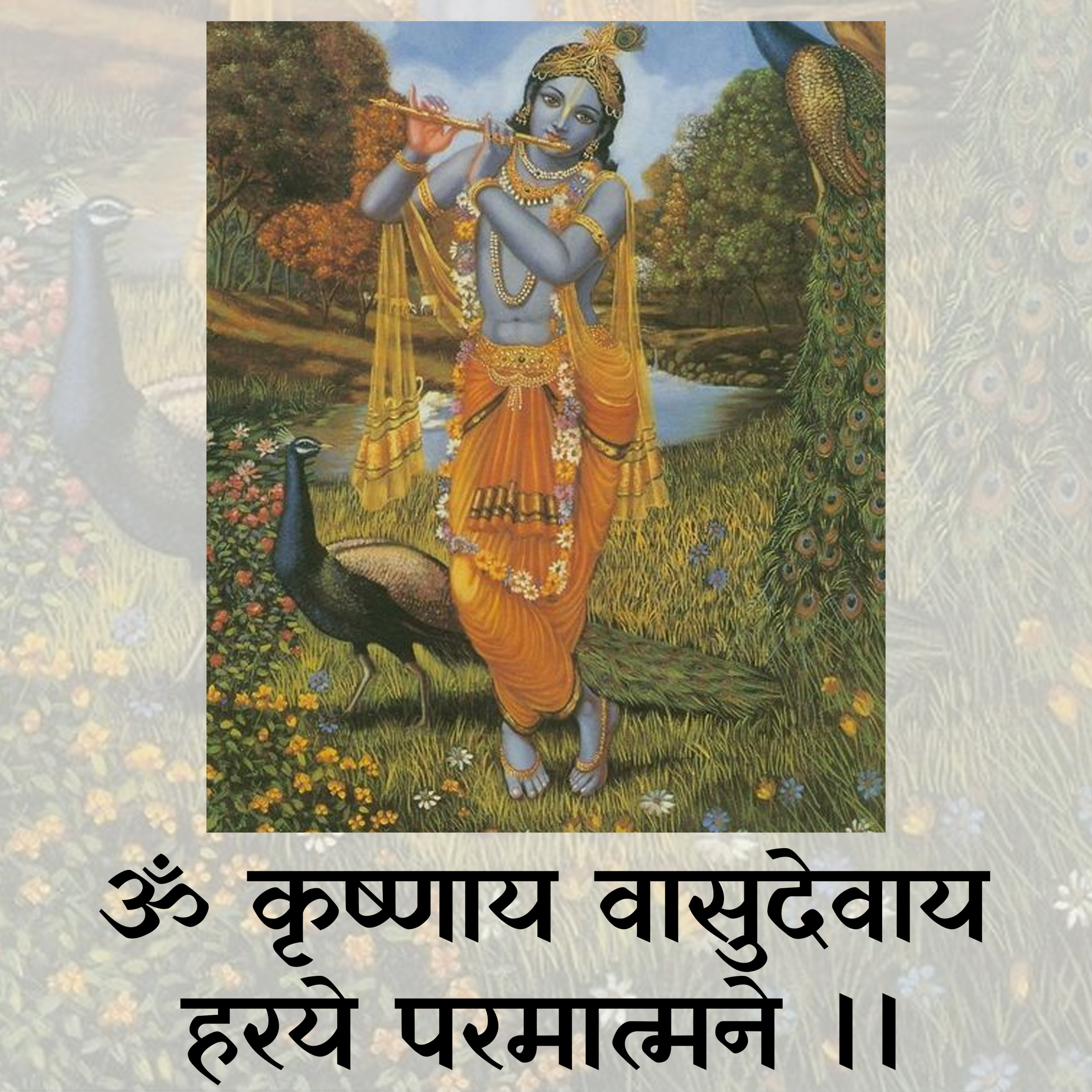 Powerful Mantra 'Krishnay Vasudevay' 1 Hr Kirtan / कृष्णाय वासुदेवाय 1 घंटे कीर्तन - Ashish P Mishra episode artwork