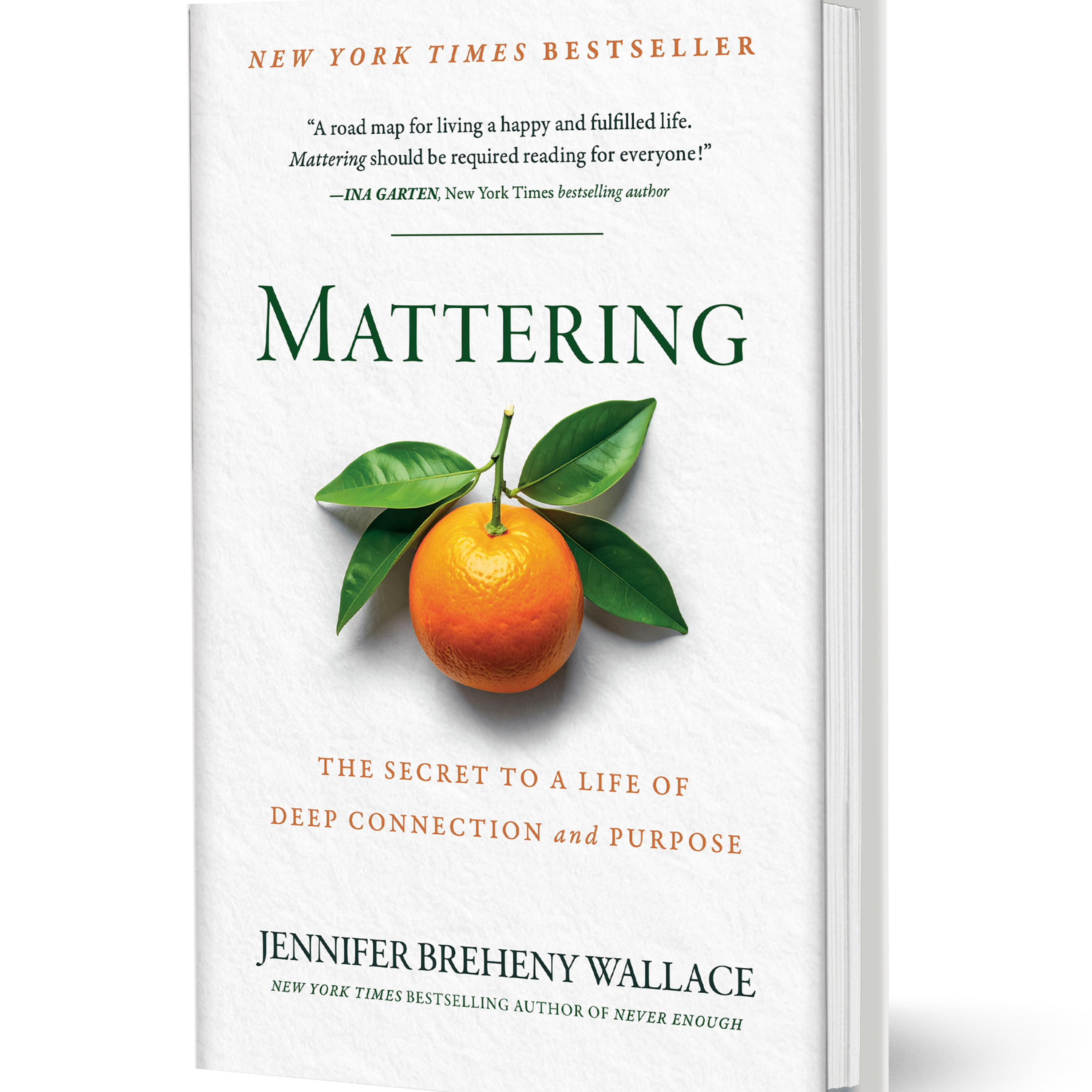 The Power of Mattering: Redefining Success in Schools and Leadership - S3E37 - Intro to Jennifer Wallace episode artwork