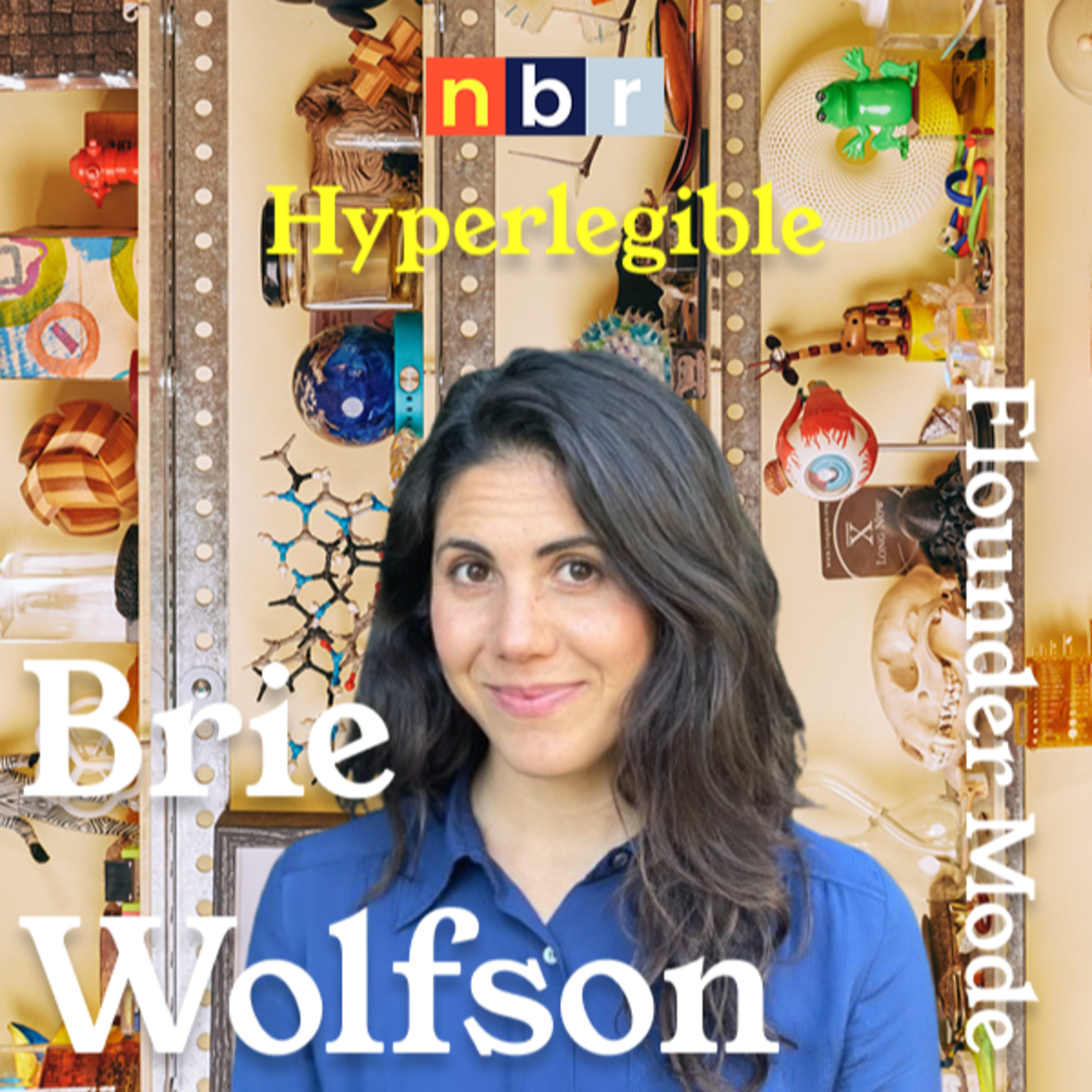 Brie Wolfson: Learning to Love Flounder Mode from Kevin Kelly (Hyperlegible 013)