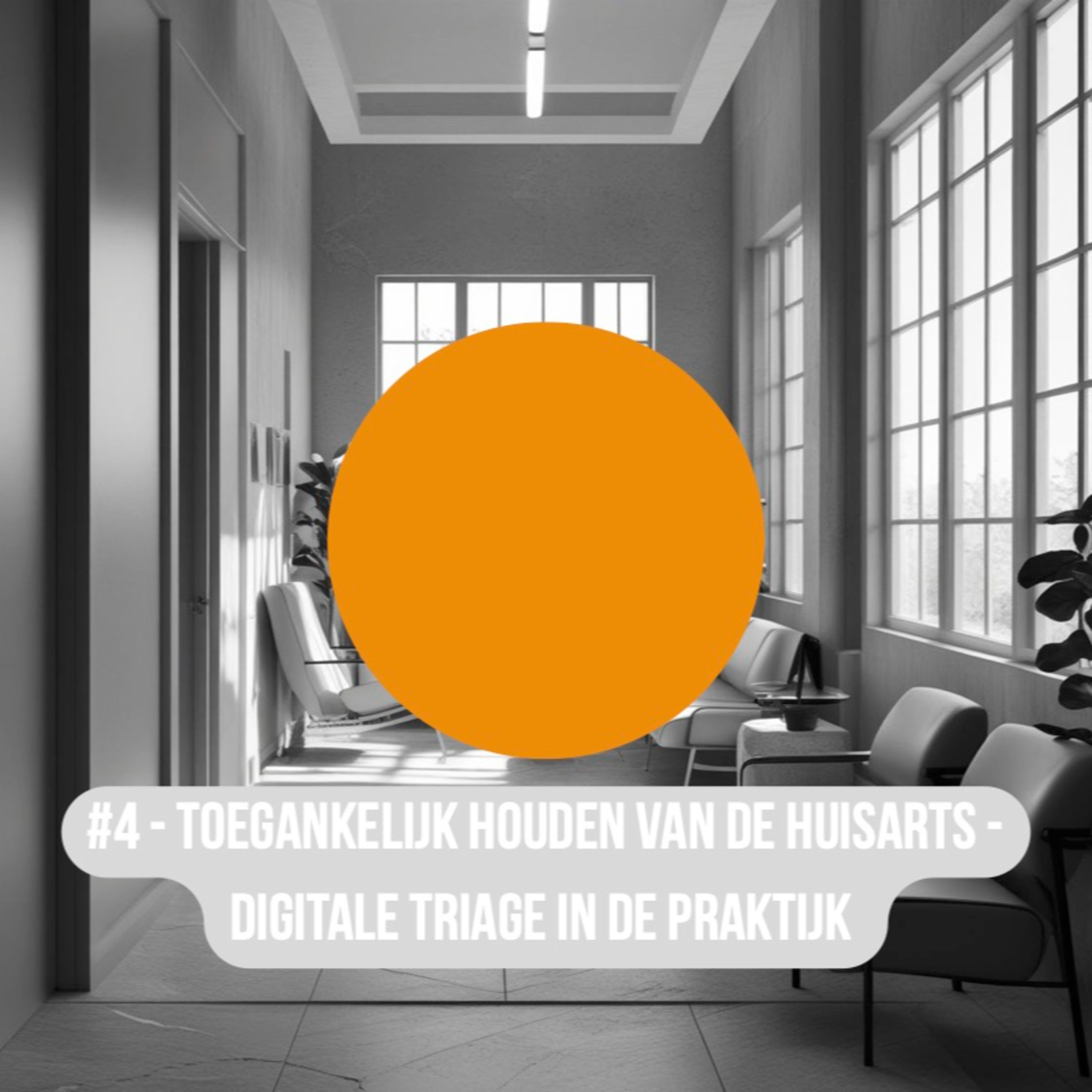 #04 - Toegankelijk houden van de huisarts - Digitale Triage in de praktijk episode artwork