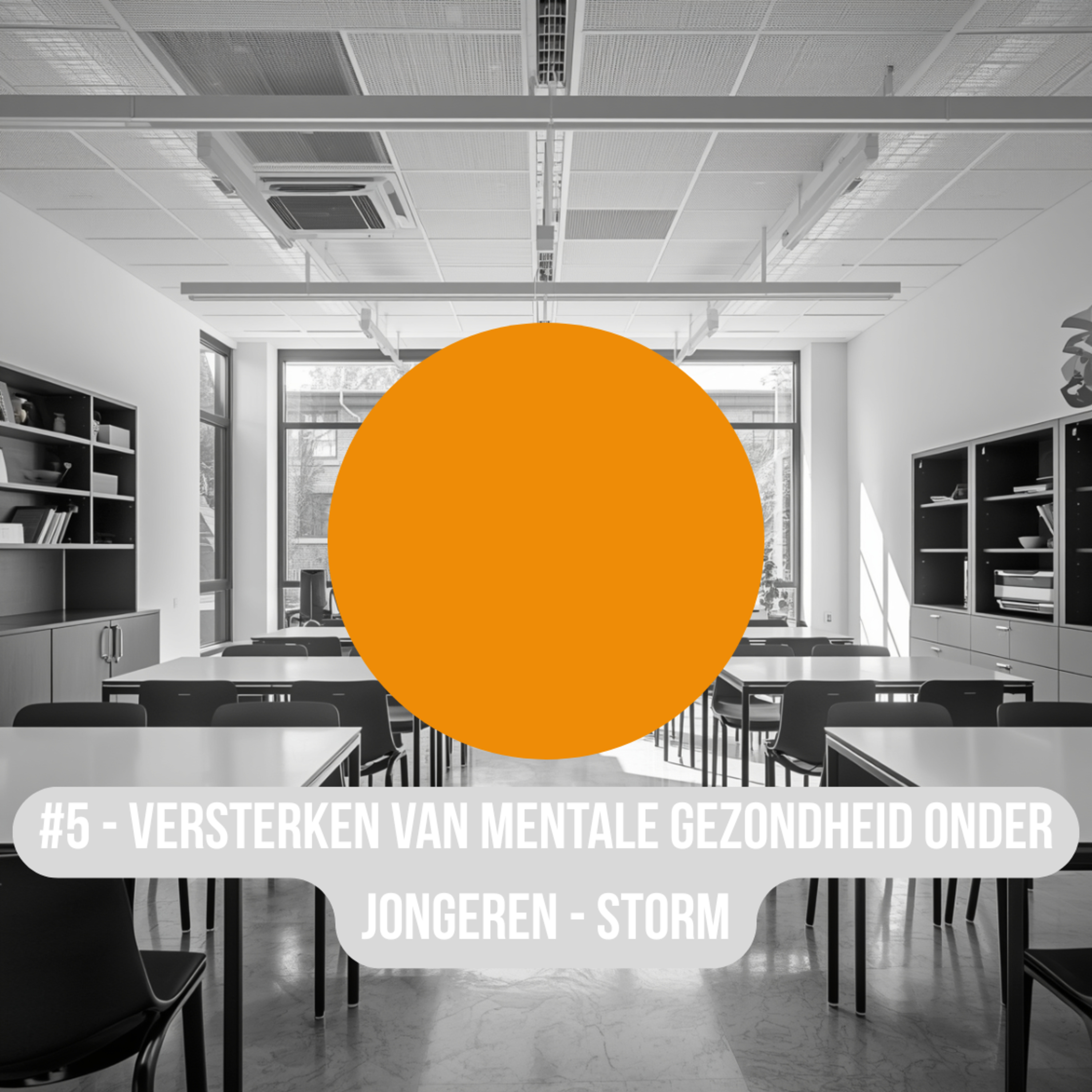 #05 - Versterken van mentale gezondheid onder jongeren - STORM episode artwork
