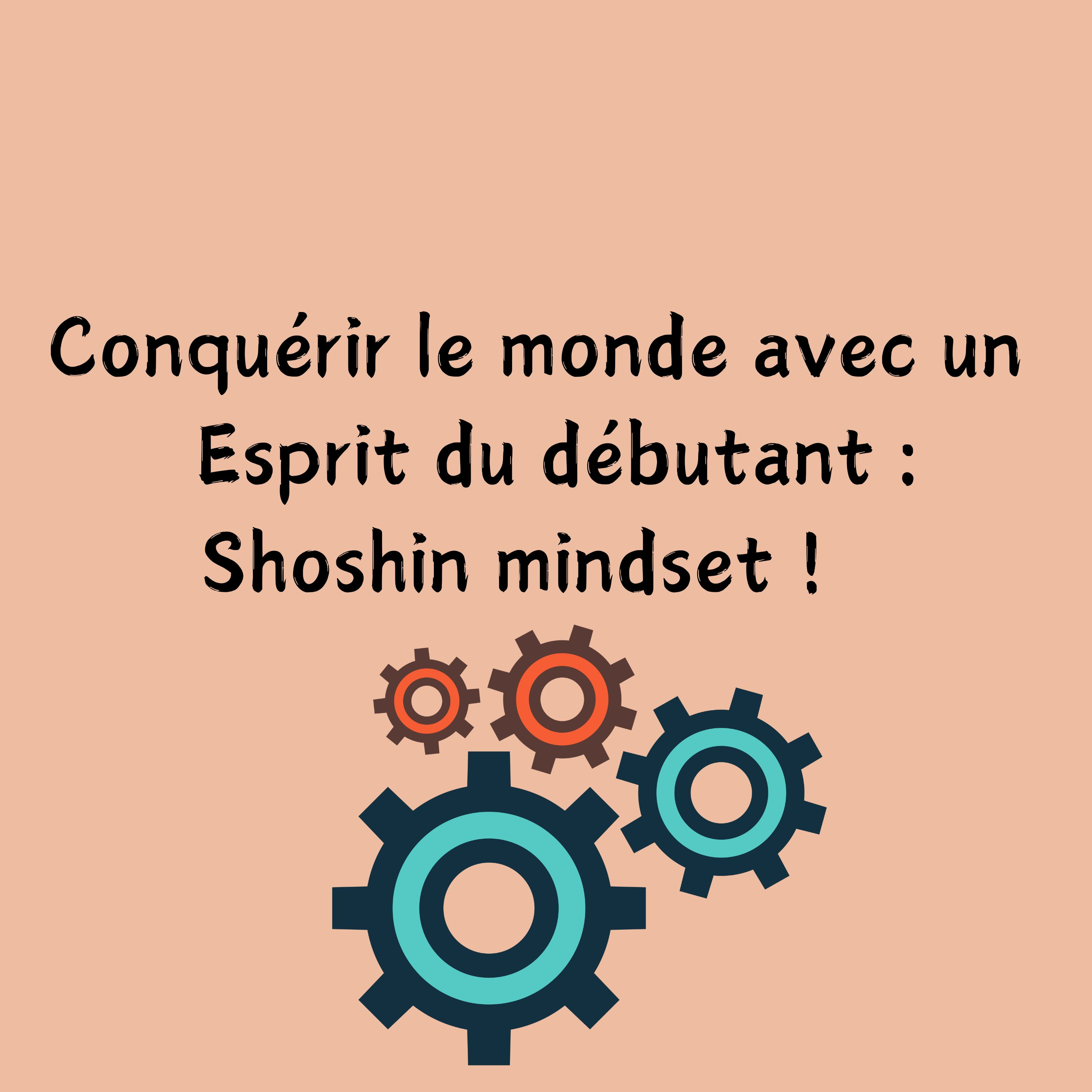 Conquérir le monde avec un esprit du débutant : Shoshin mindset ! episode artwork